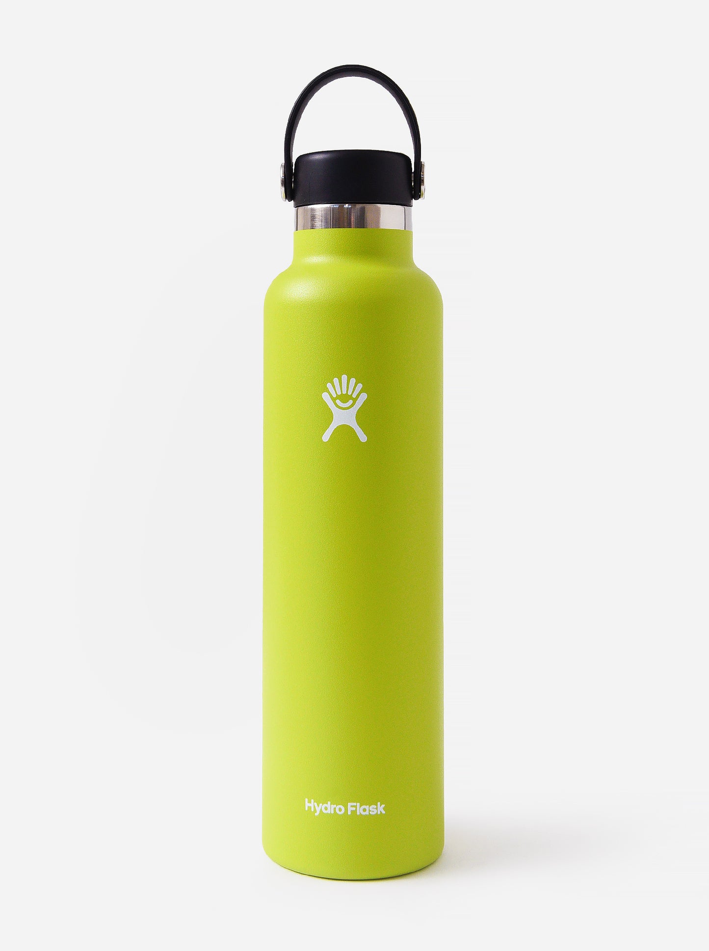 Hydroflask Standard Mouth 24oz Water Bottle - Saint Bernard