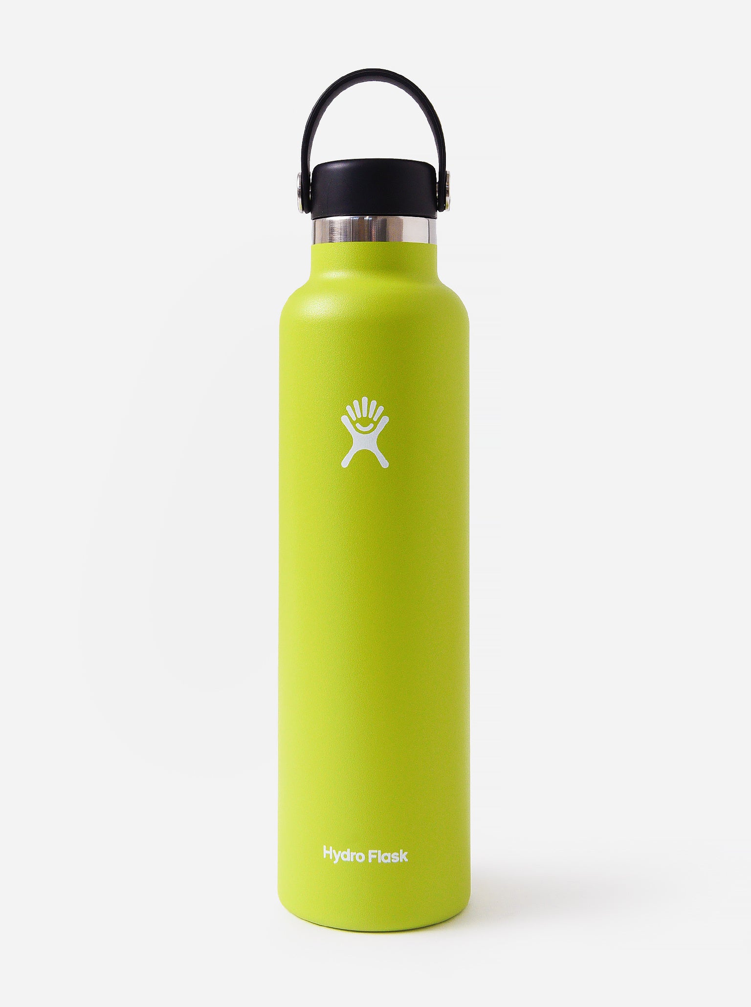 Hydroflask Standard Mouth 24oz Water Bottle - Saint Bernard