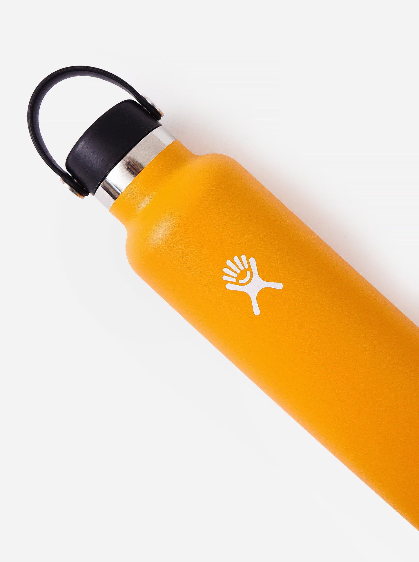 Hydroflask Standard Mouth 24oz Water Bottle - Saint Bernard