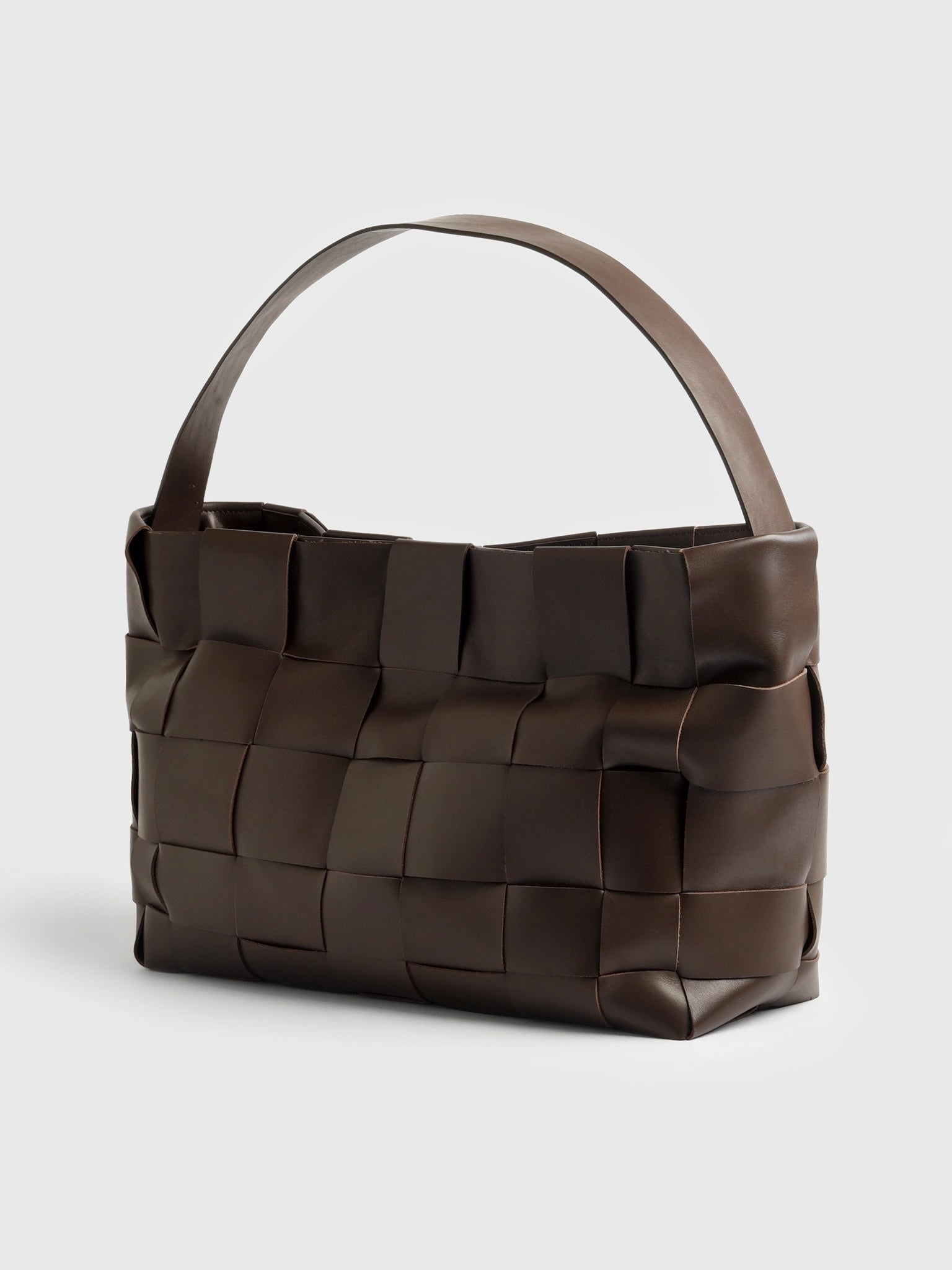 St. Agni Woven Large Tote - Saint Bernard
