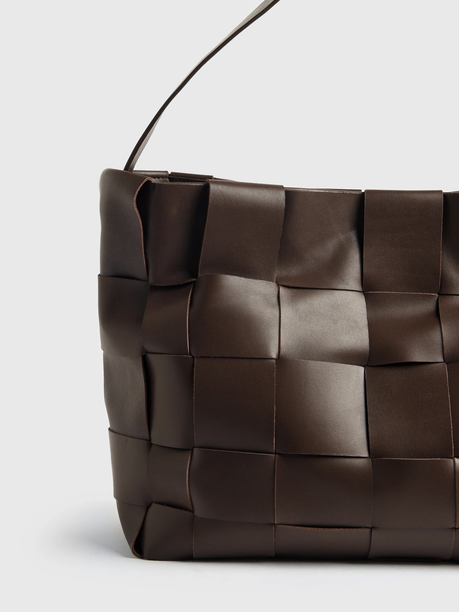 St. Agni Woven Large Tote - Saint Bernard