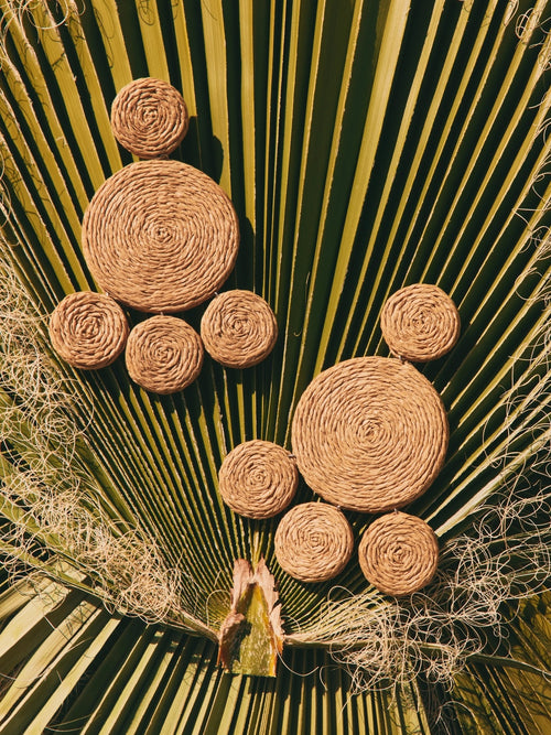 Simon Miller Raffia Deco Earrings