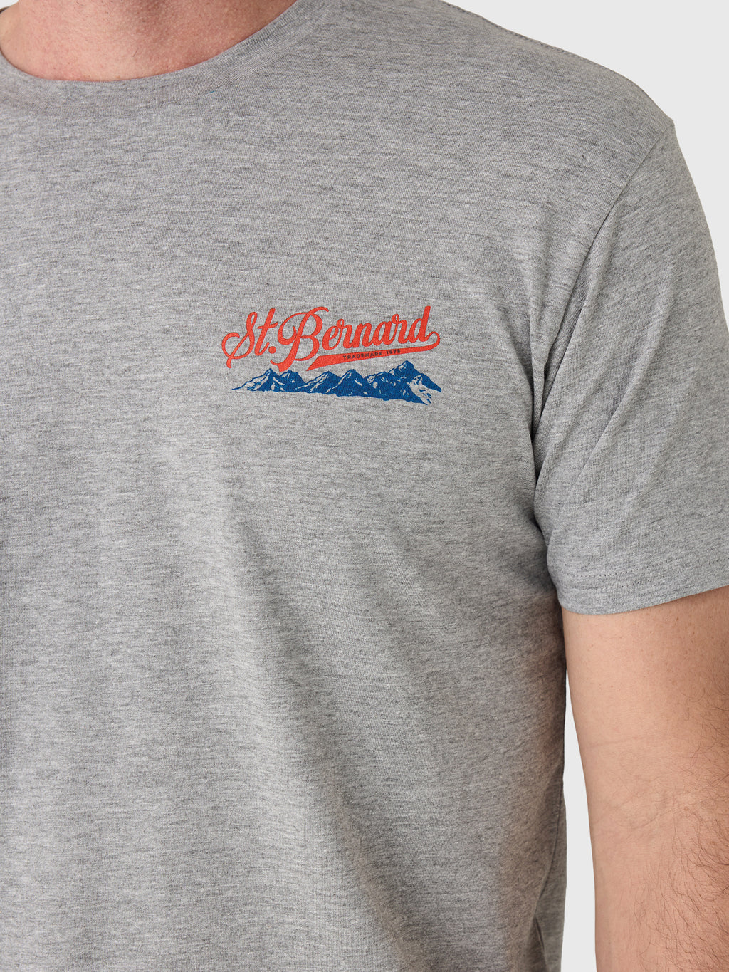 Saint Bernard Men's Mountains Tee