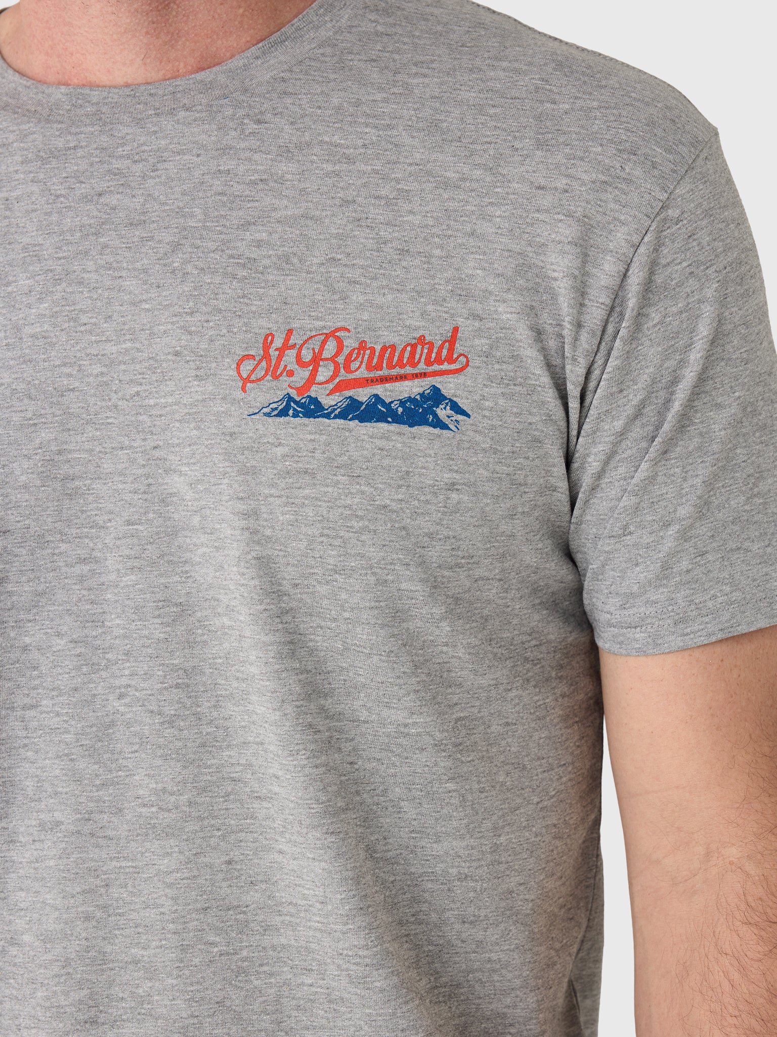 Saint Bernard Men's Mountains Tee