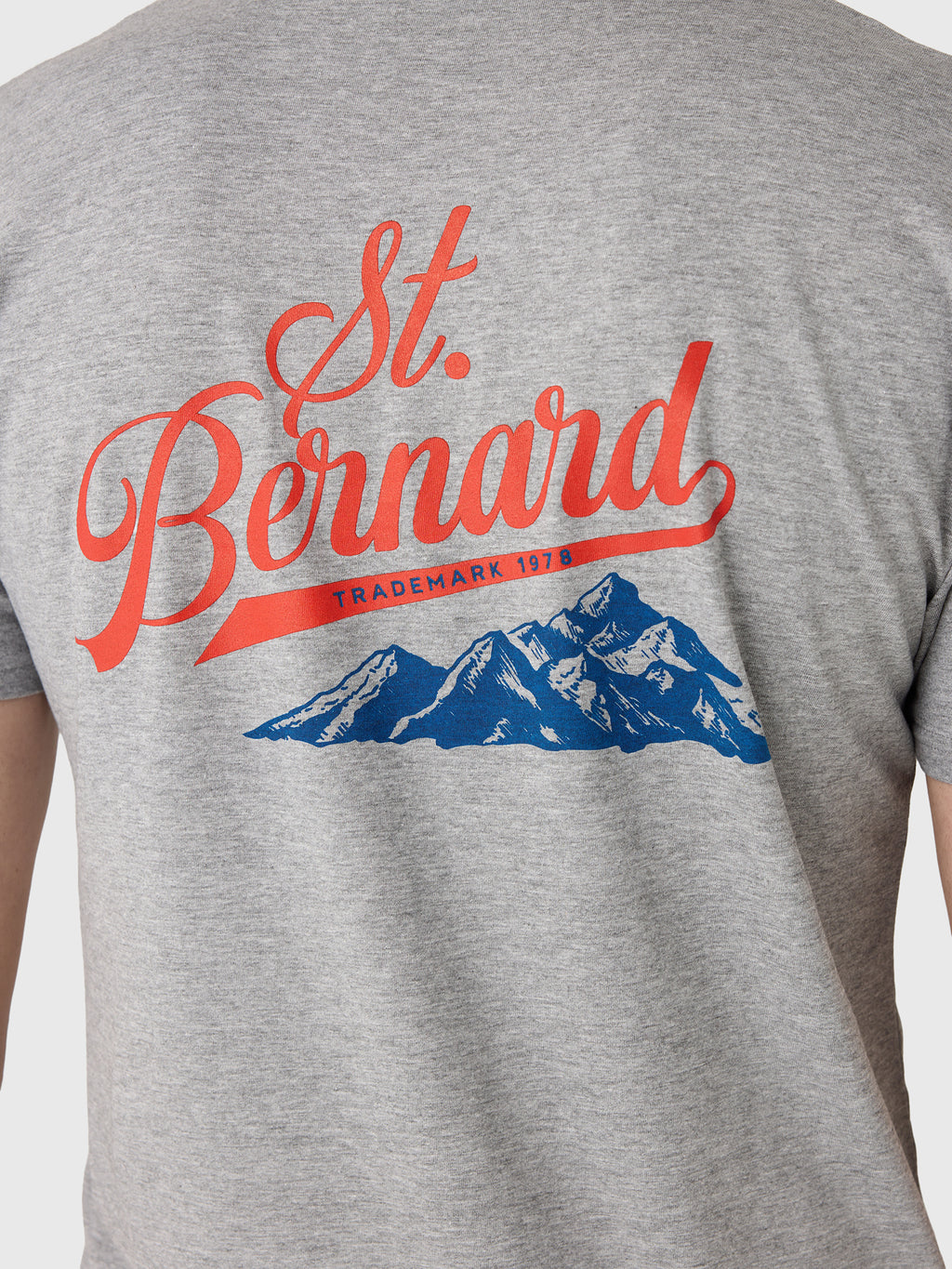 Saint Bernard Men's Mountains Tee