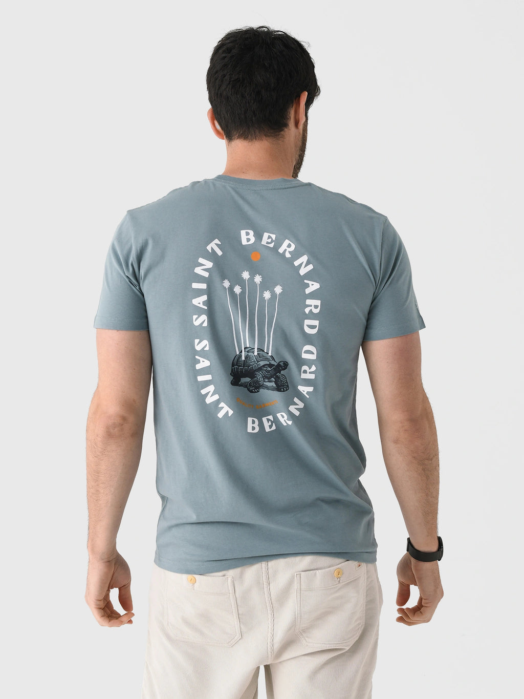 SBSS250300-TURTLExMINERAL-alt1