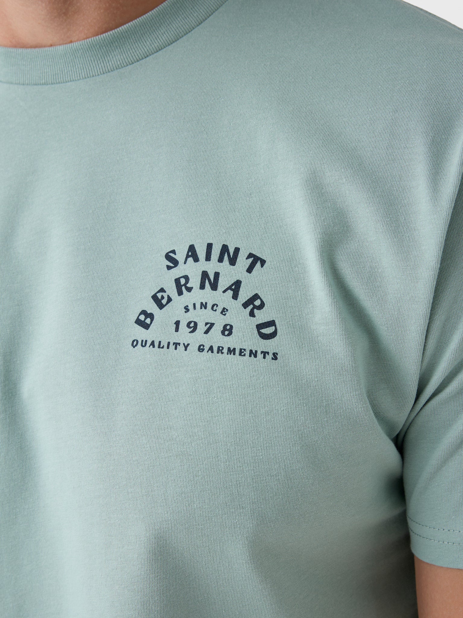 Saint Bernard Men's Turtle Tee - Saint Bernard