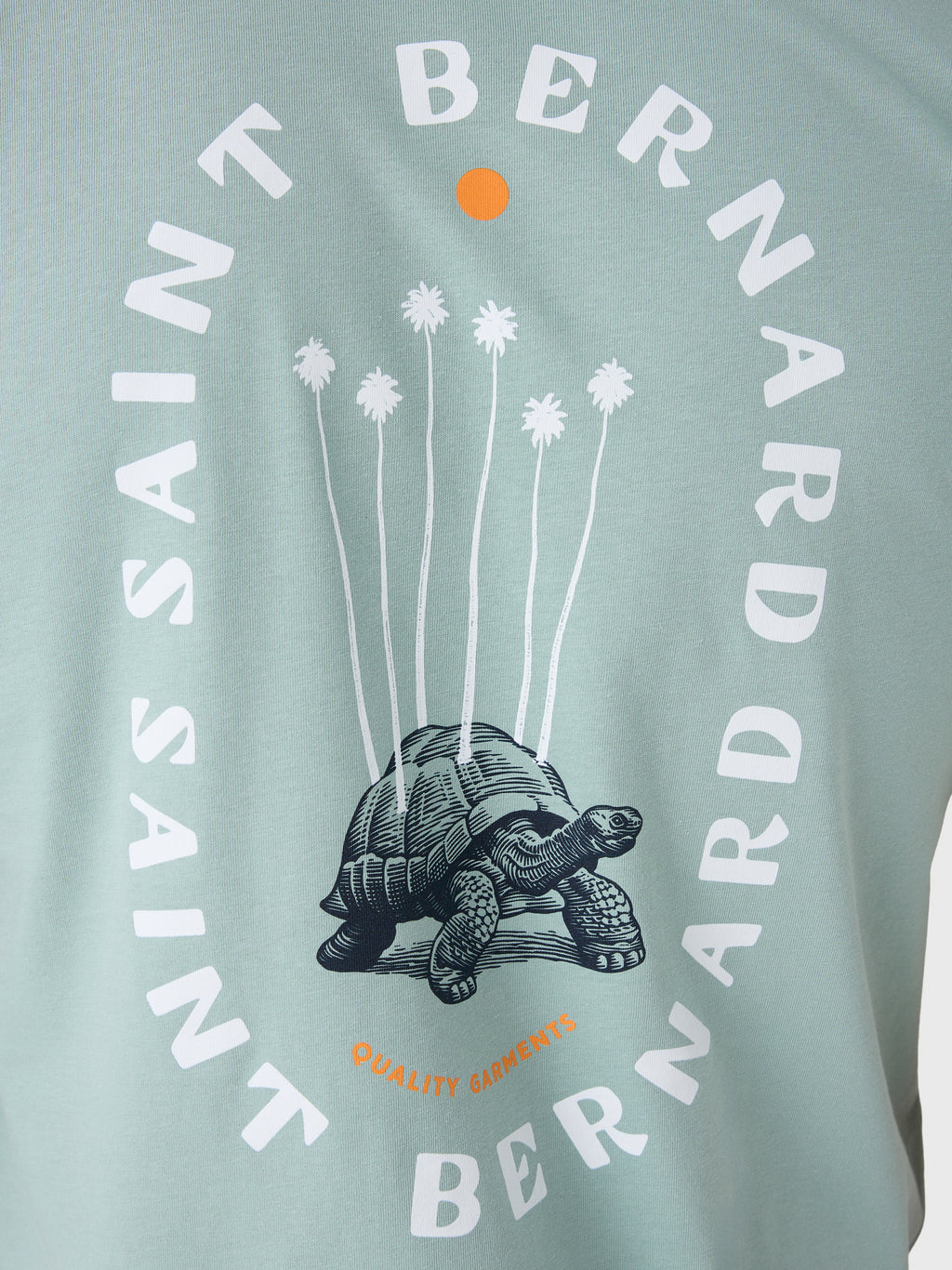 Saint Bernard Men's Turtle Tee - Saint Bernard