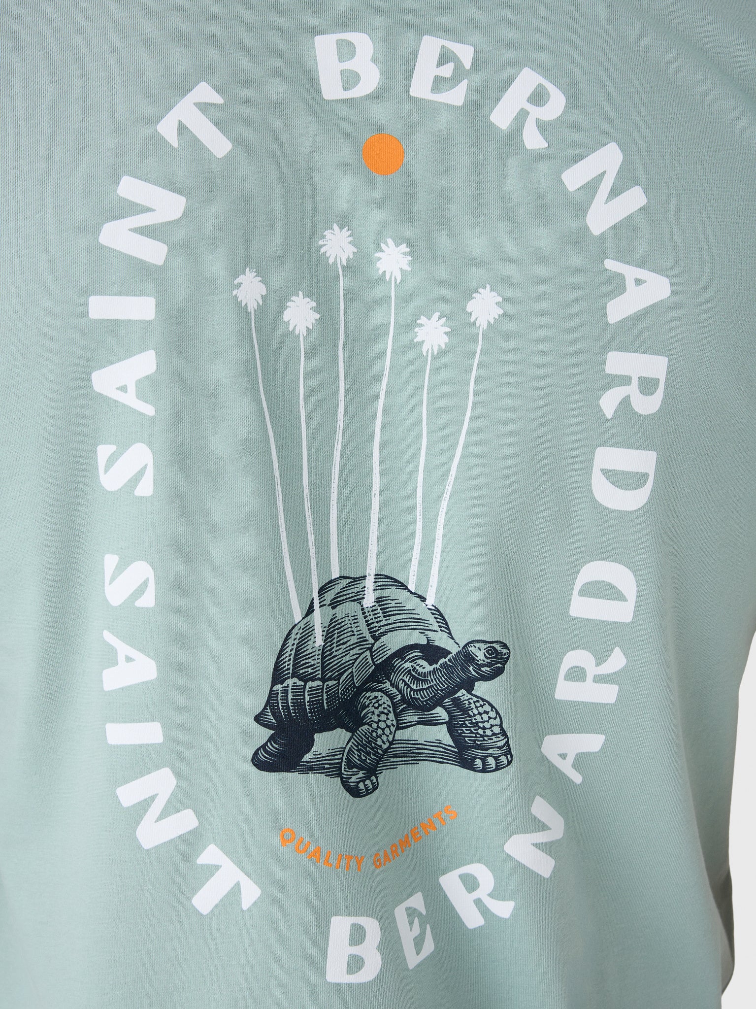 Saint Bernard Men's Turtle Tee - Saint Bernard