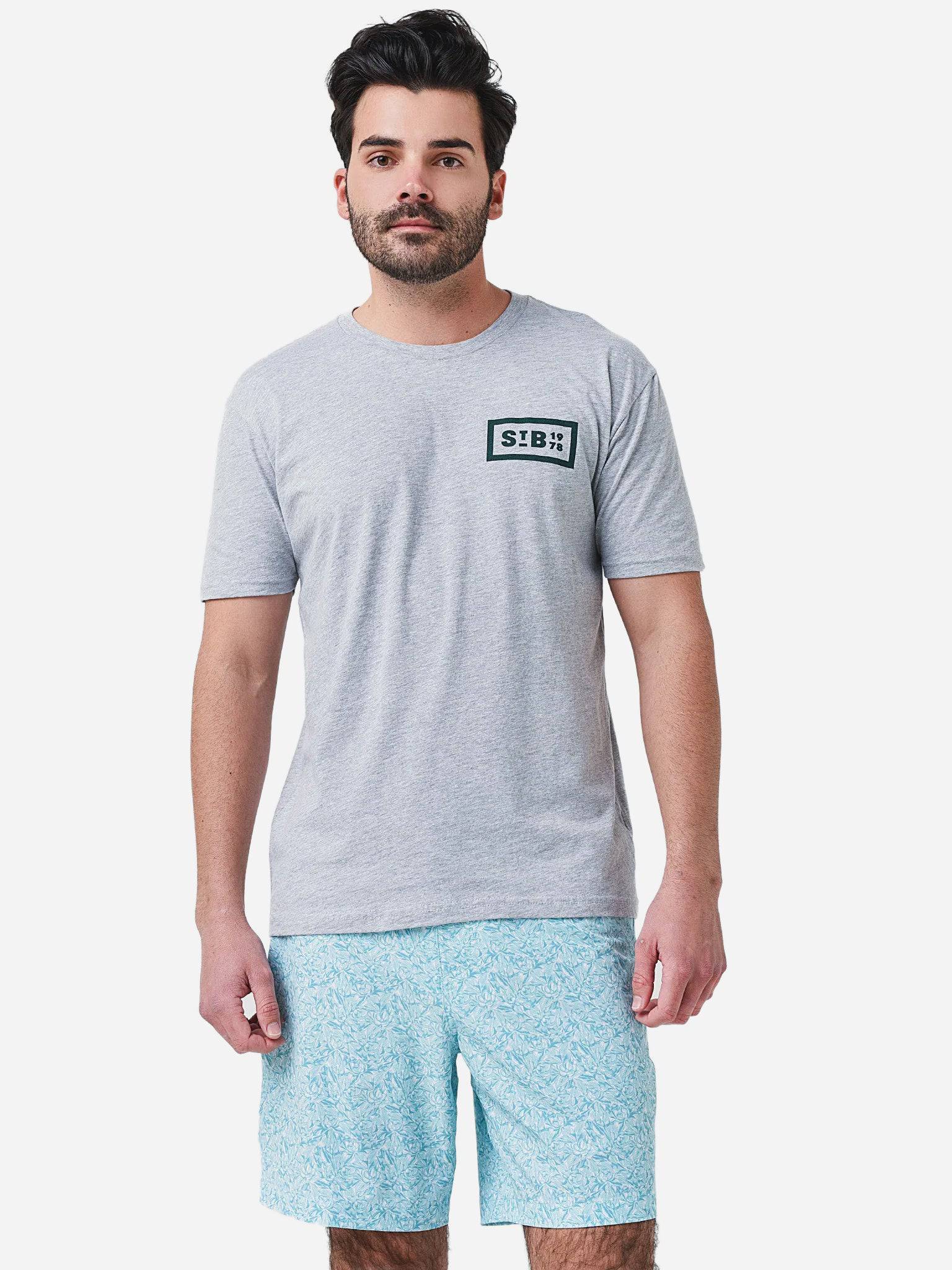 Saint Bernard Men's Vintage Mountains T-Shirt - Saint Bernard