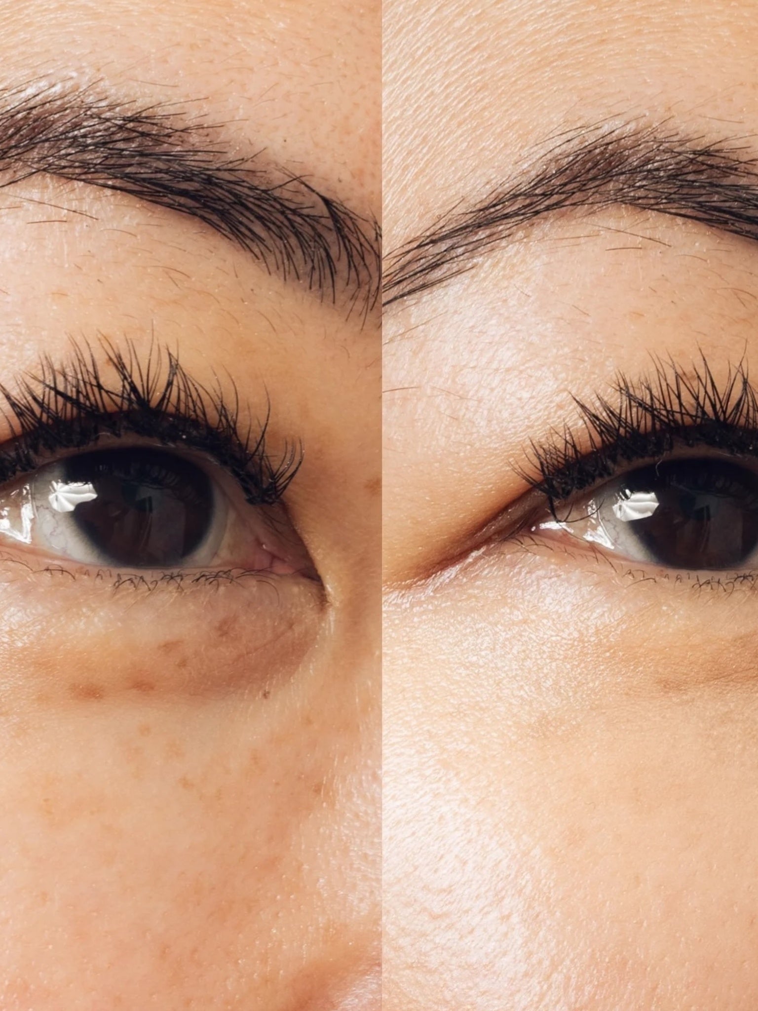 Storied Beauty CONCEALED Tinted Eye Cream - Saint Bernard