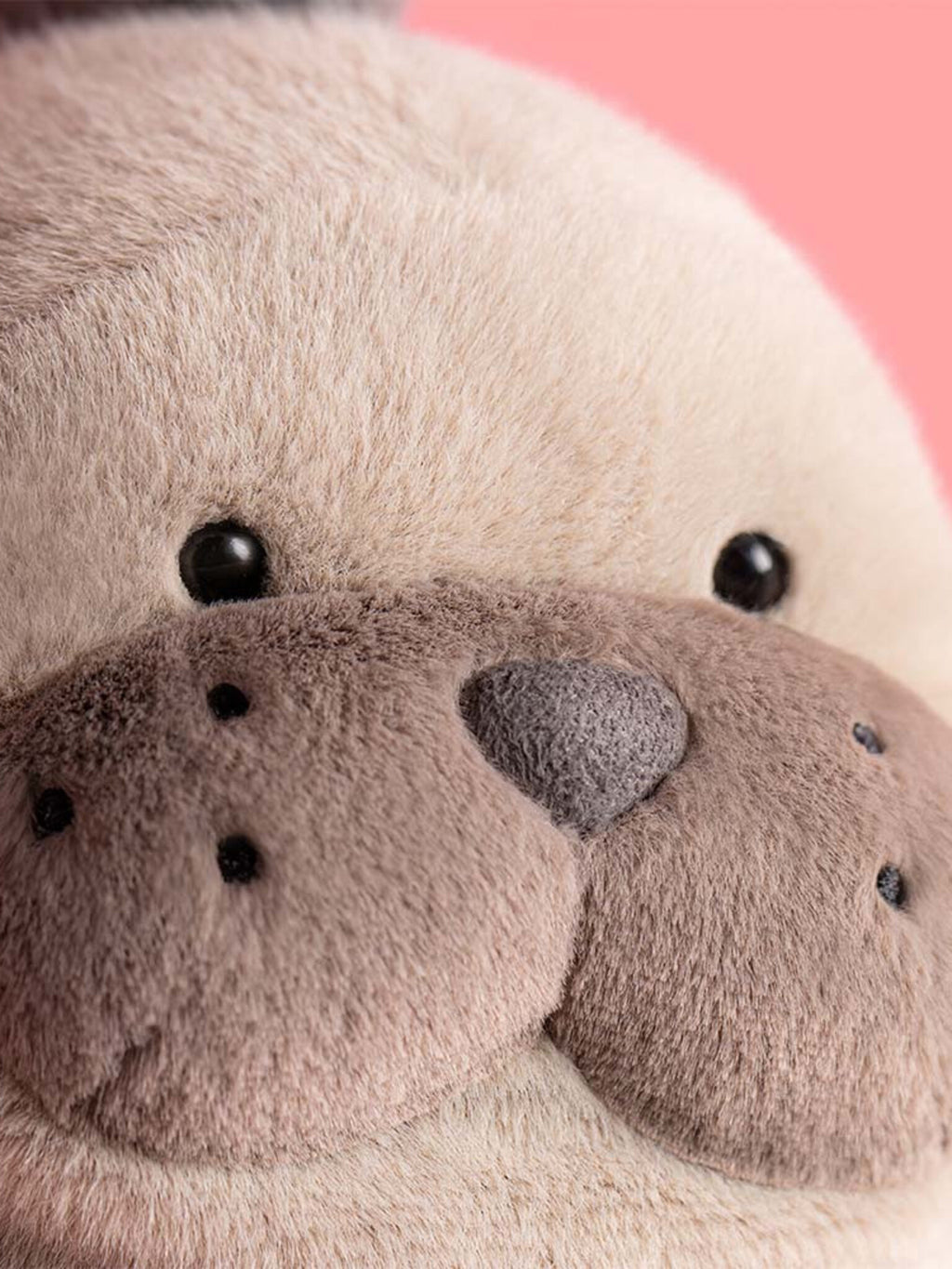 Jellycat Roarwell Sea Lion Plush - Saint Bernard