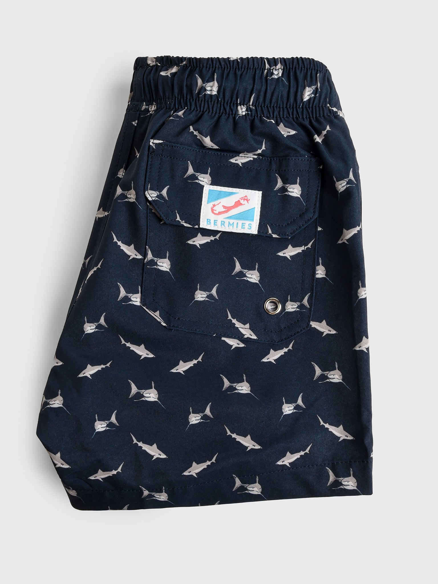 SHARKS-BYSLxSHARKS-alt2