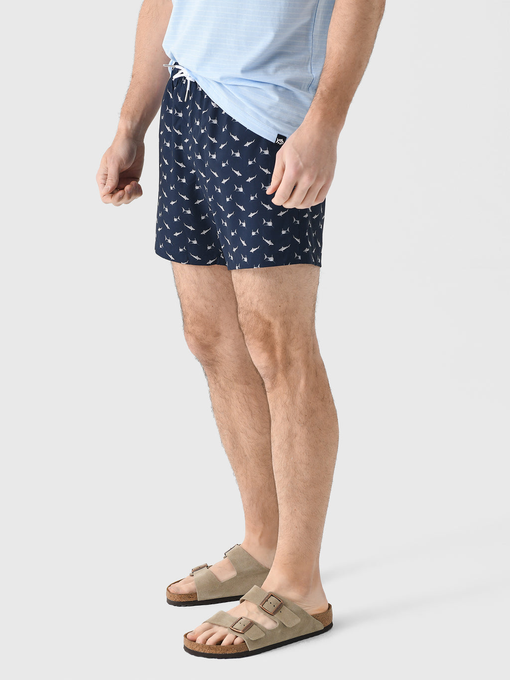 SHARKS-CLALxSHARKS-alt2