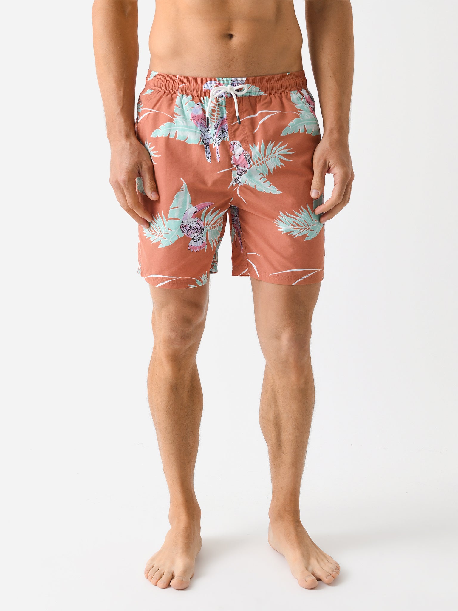 Katin Men's Paradise Volley Swim Trunk - Saint Bernard