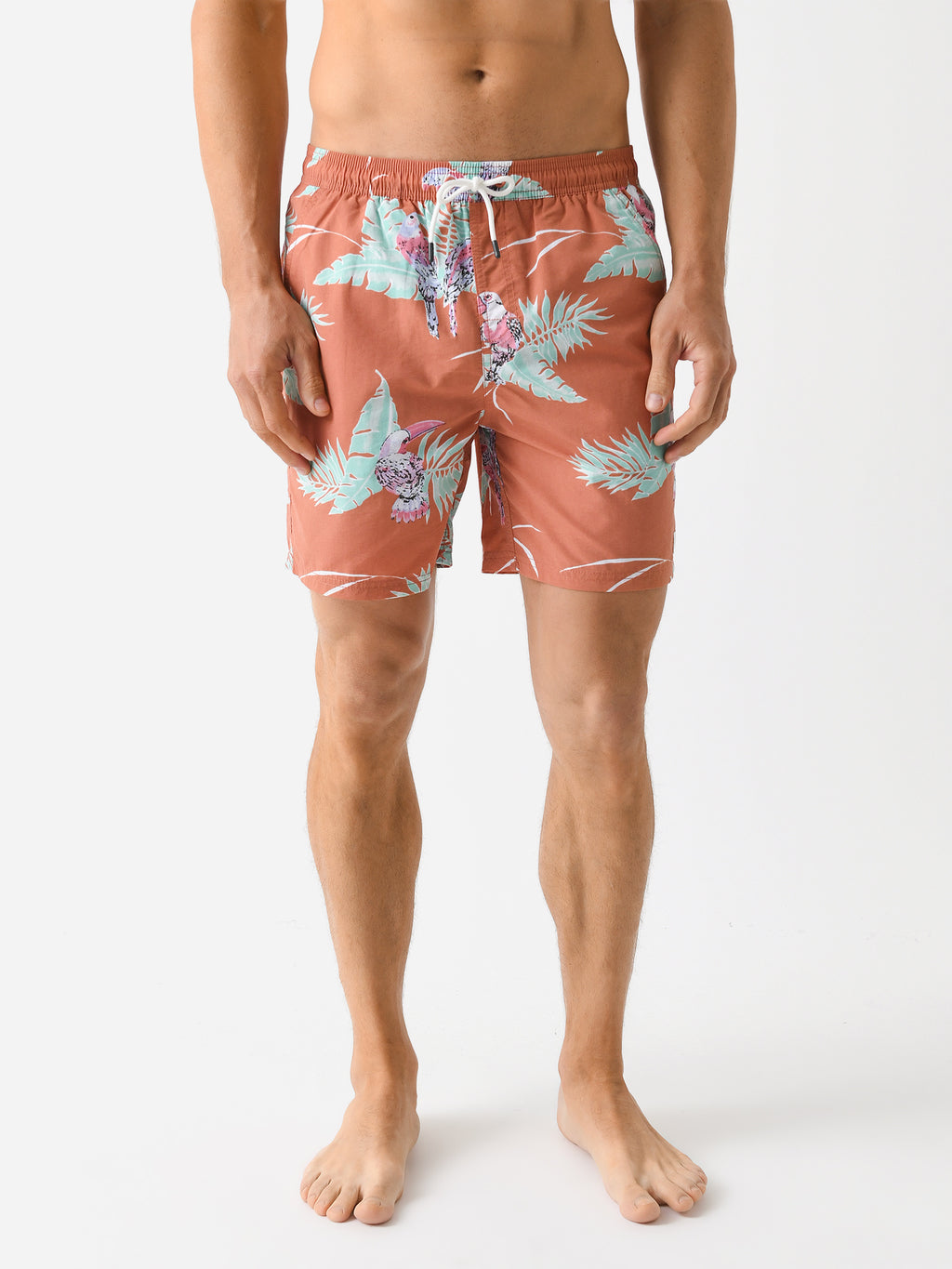 Katin Men's Paradise Volley Swim Trunk - Saint Bernard