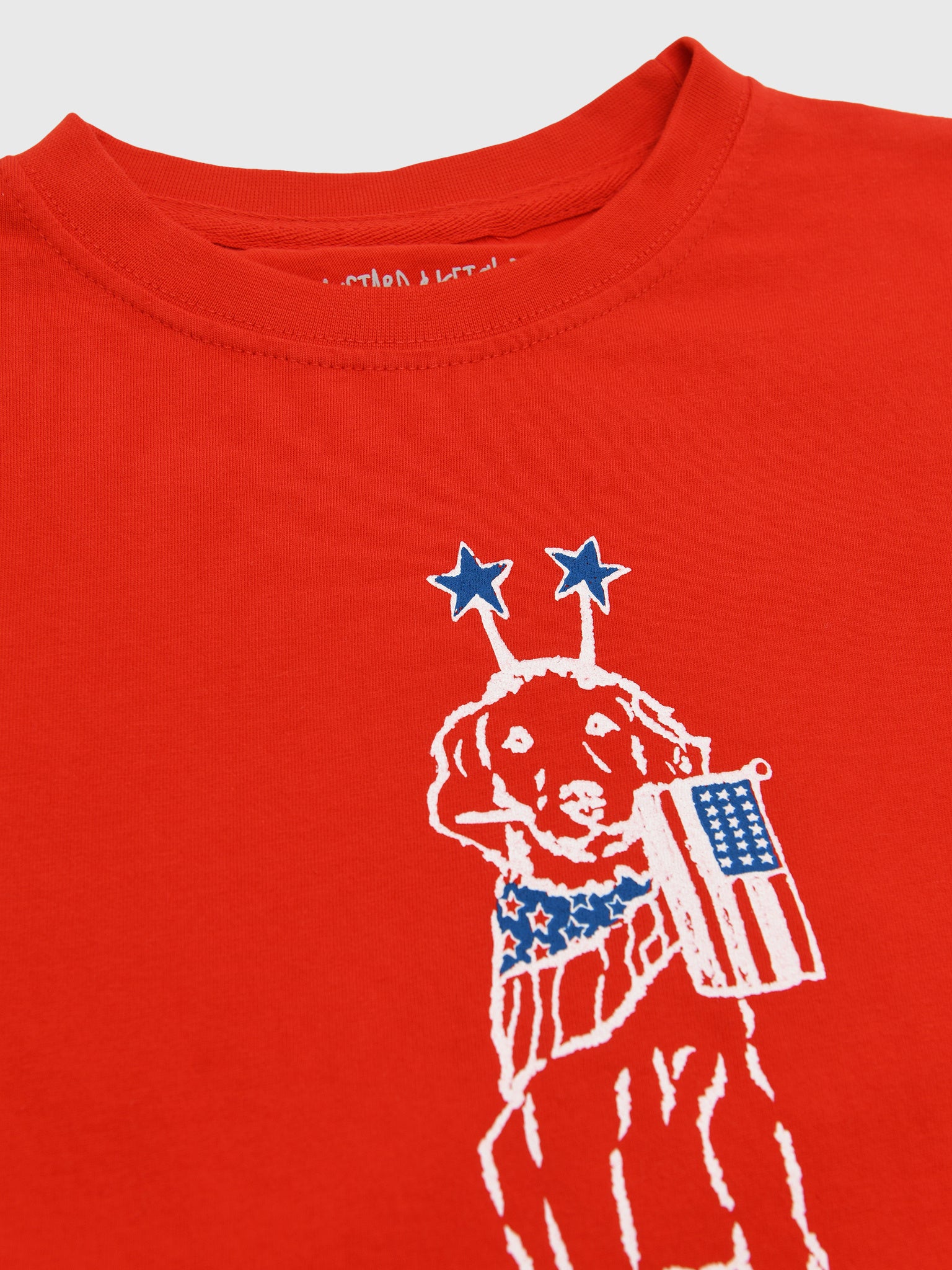 Mustard & Ketchup Kids Boys' Short Sleeve Patriotic Dog T-Shirt - Saint Bernard