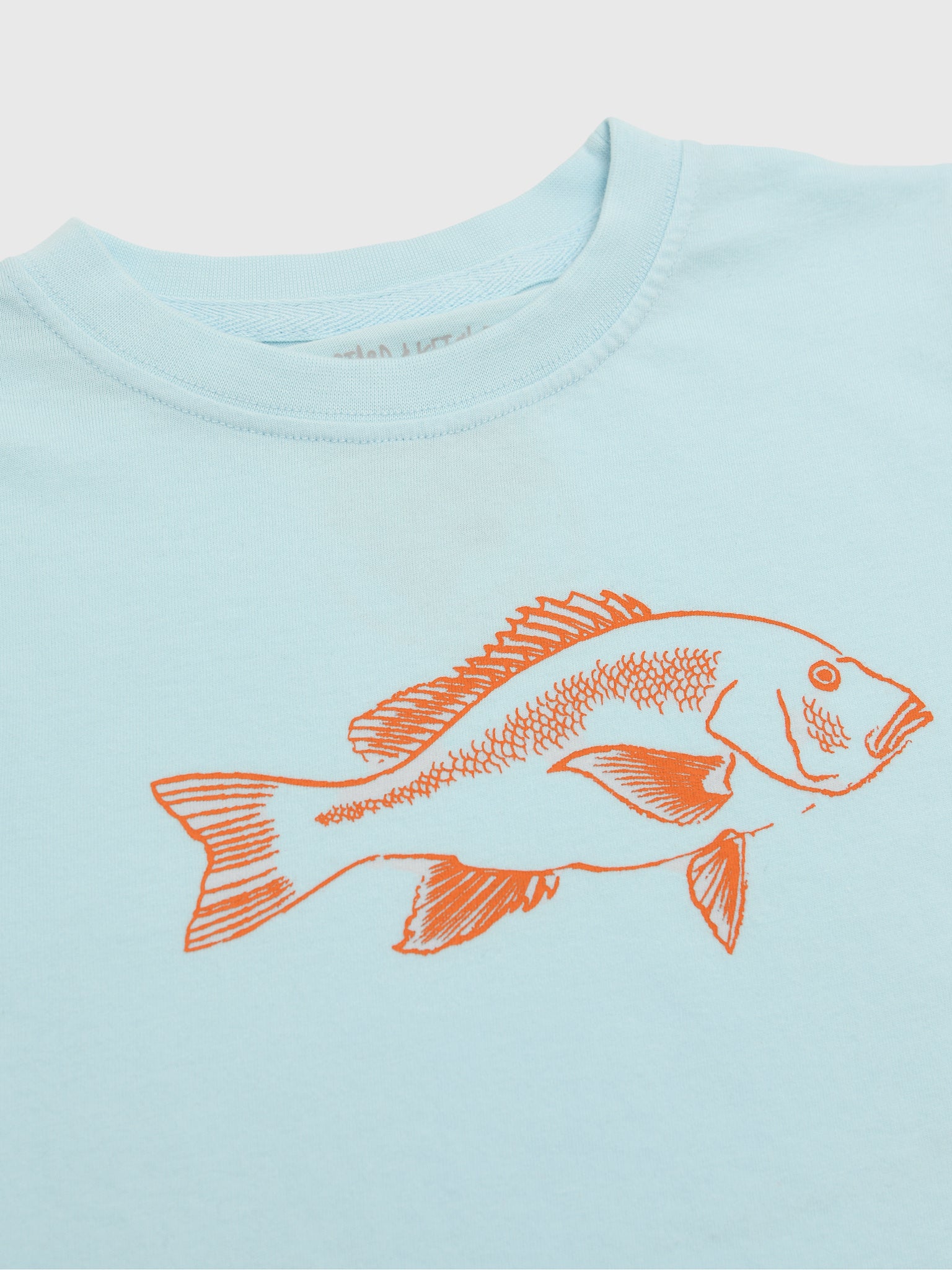Mustard & Ketchup Kids Boys' Short Sleeve Snapper T-Shirt - Saint Bernard