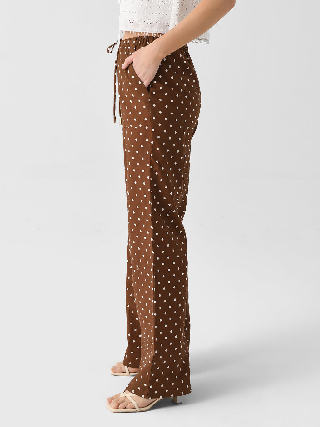 ST3038xBROWNDOT-alt2