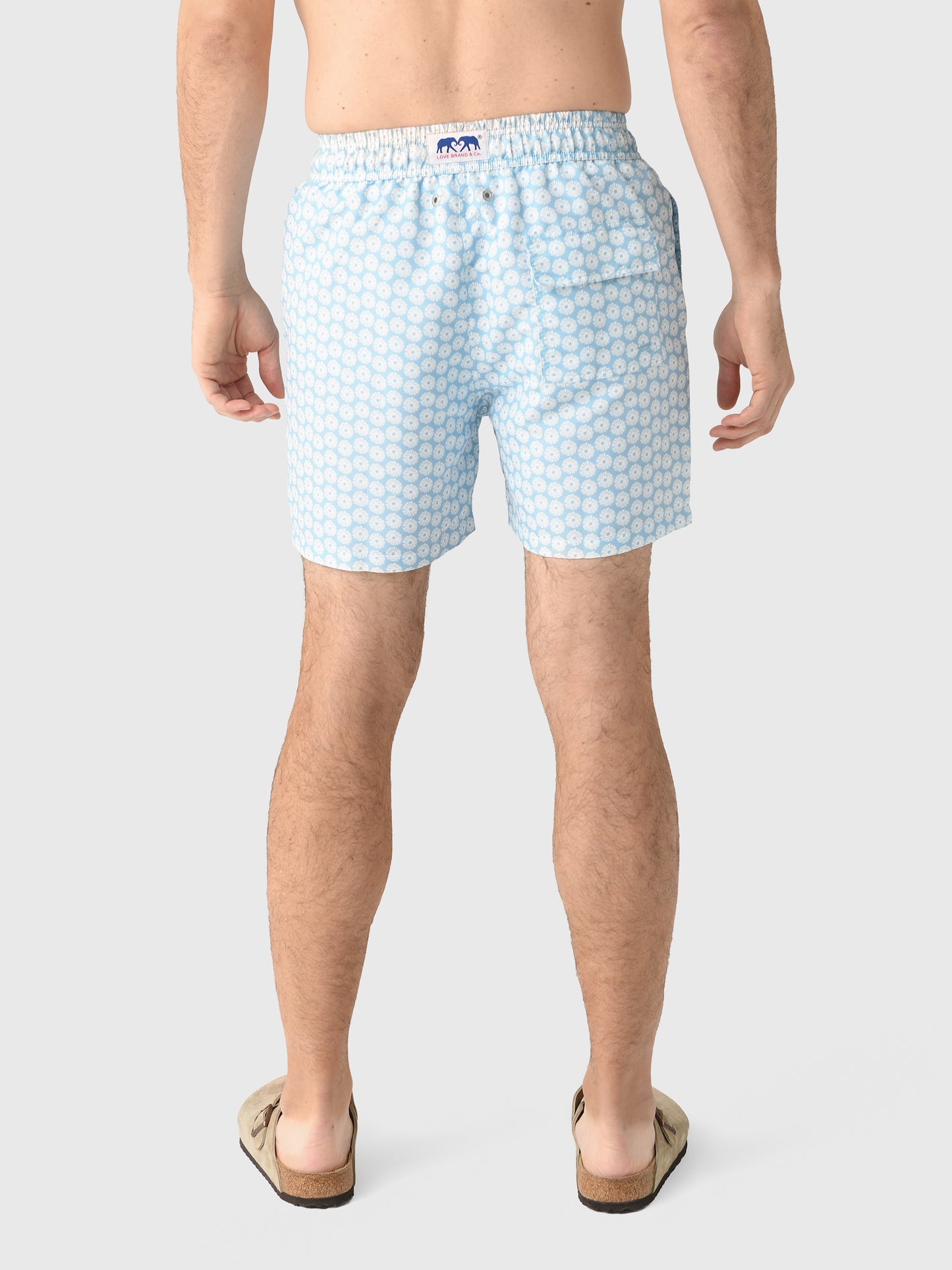 STANIELxCORALDANDY-alt3