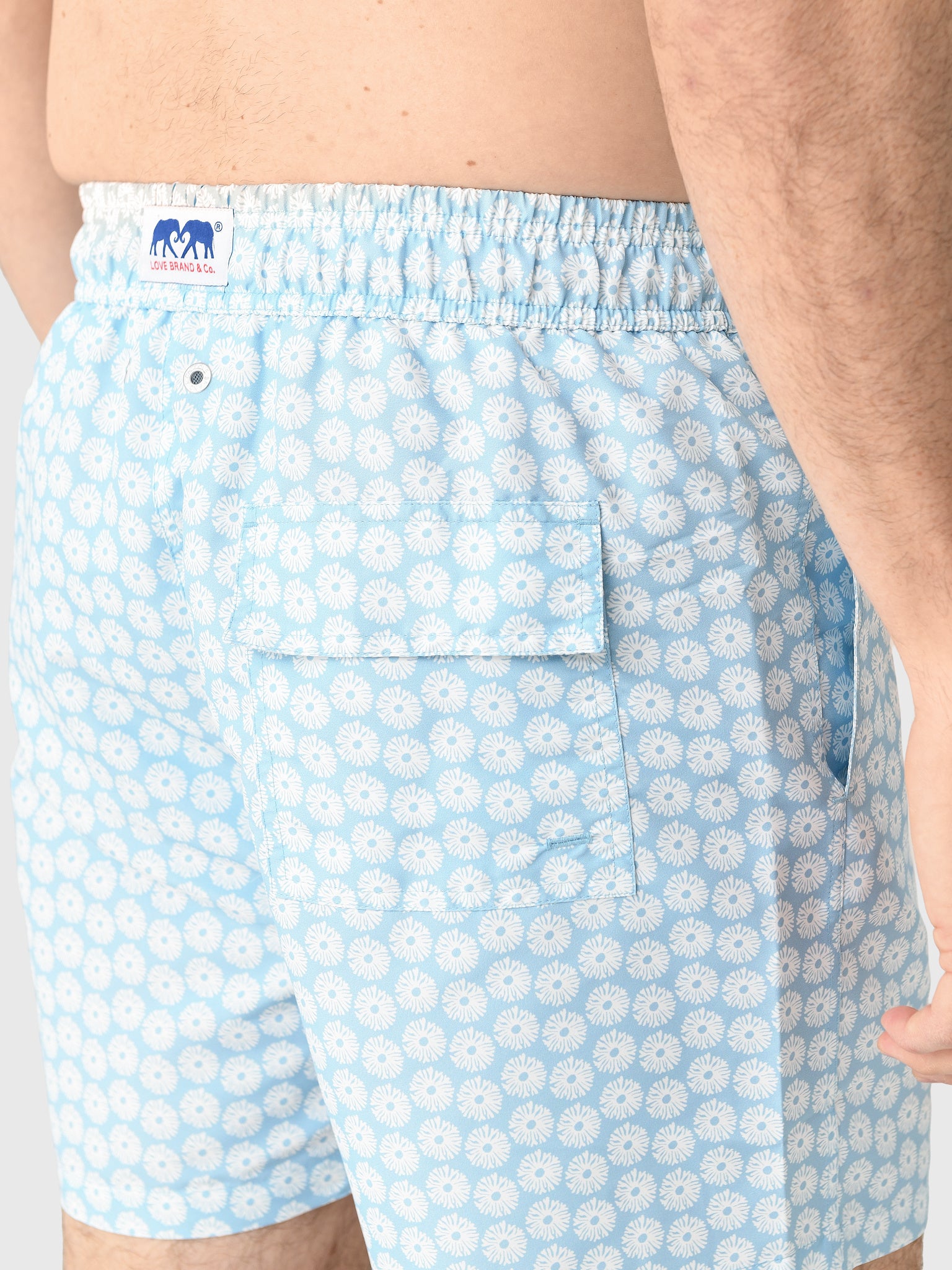 STANIELxCORALDANDY-alt4