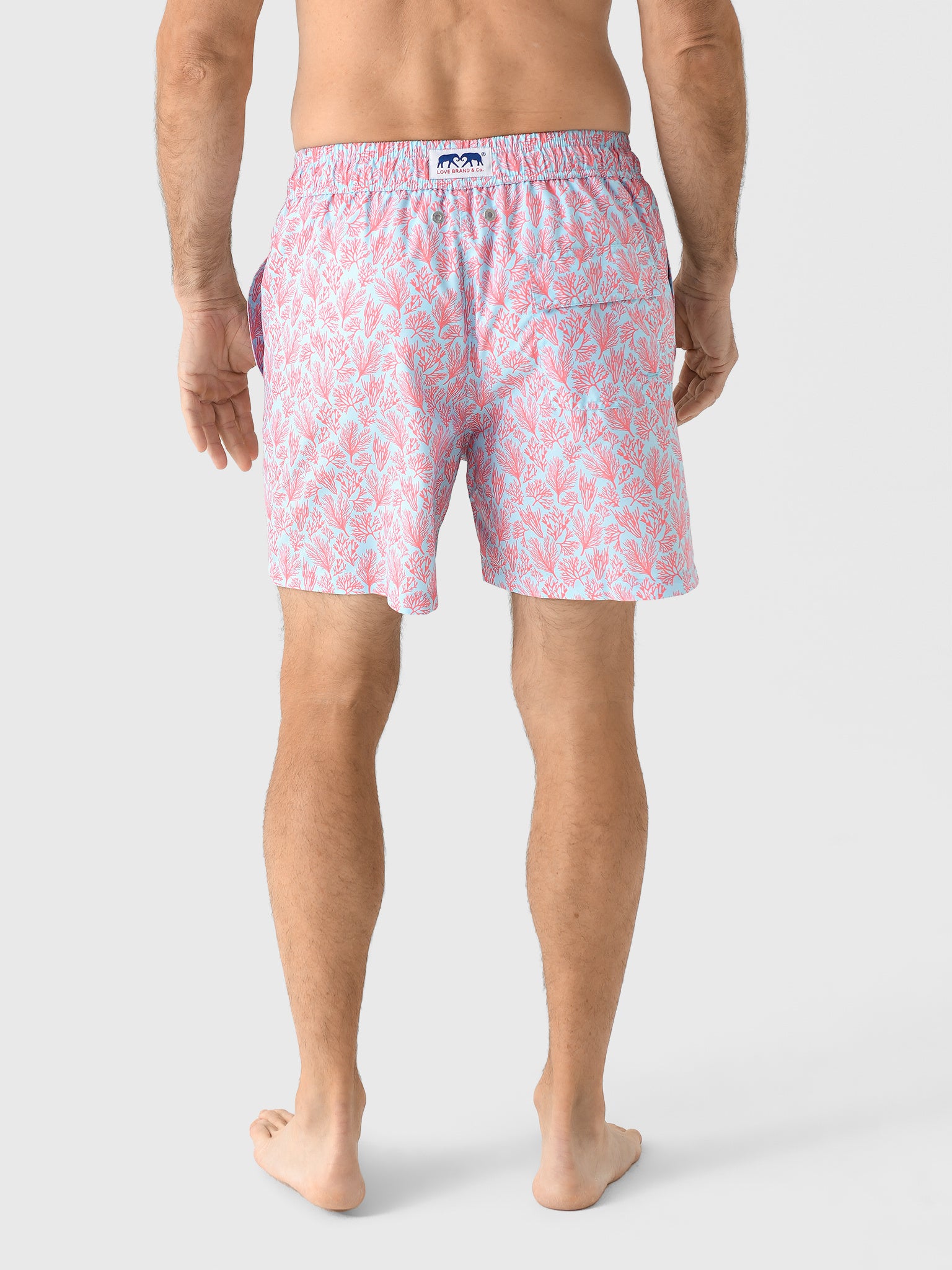 STANIELxCRAZYCORAL-alt3