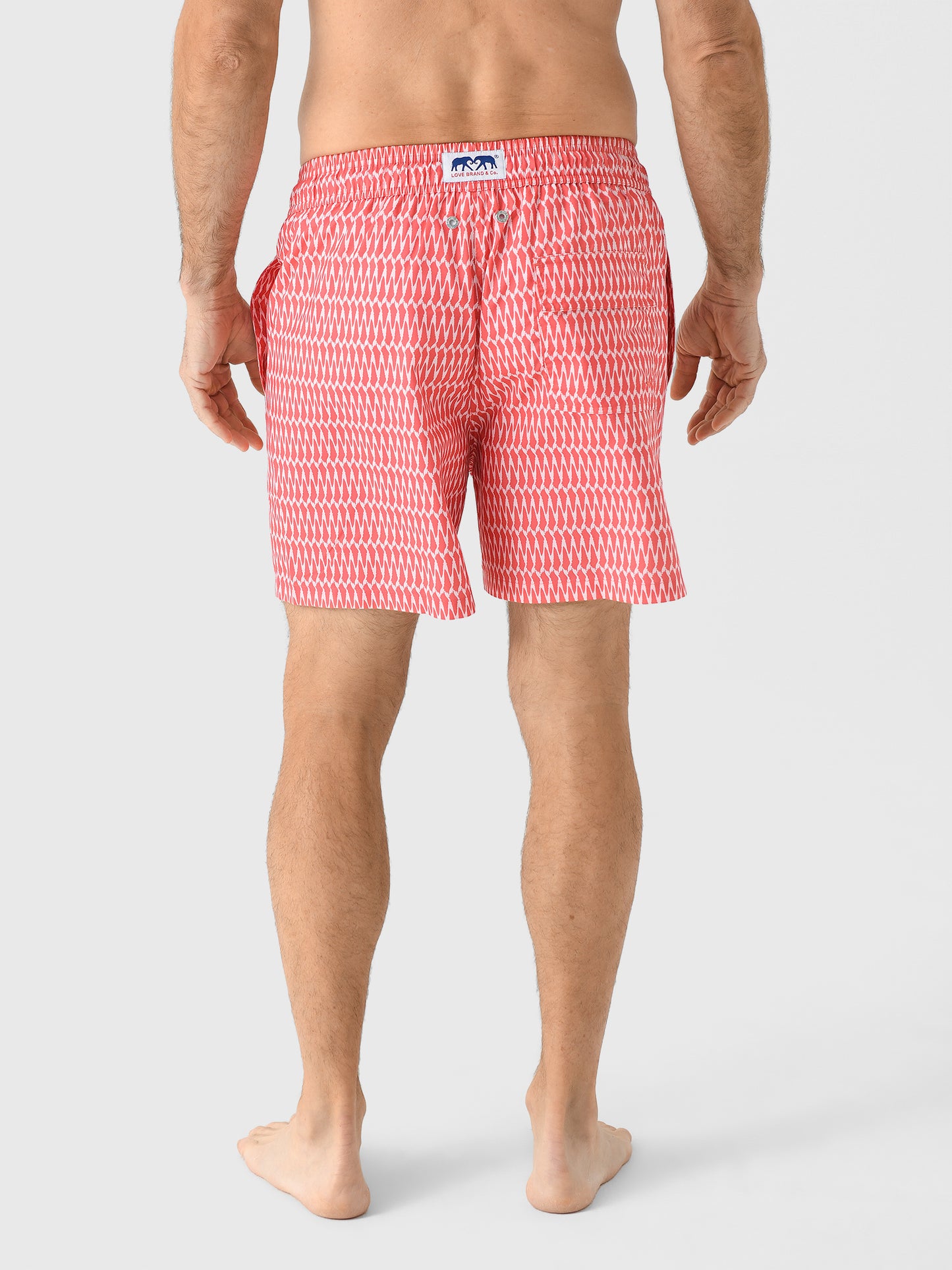 STANIELxHOTASSHELL-alt3