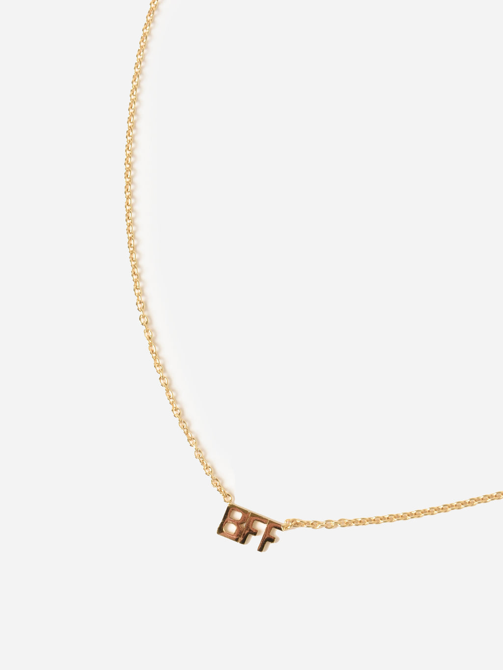 TAI Women's BFF Necklace - Saint Bernard