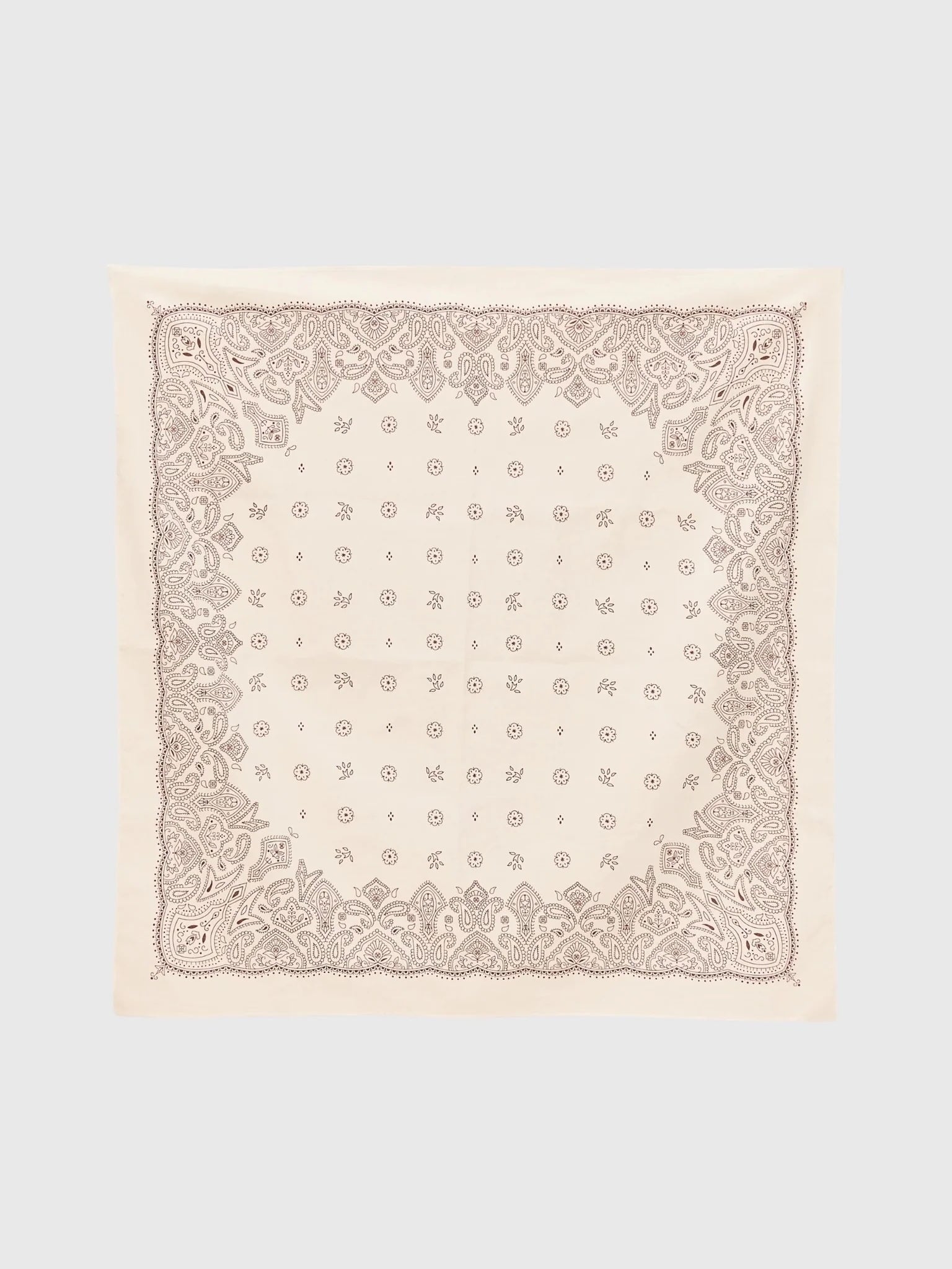 Devon Windsor Women's Scarf - Saint Bernard