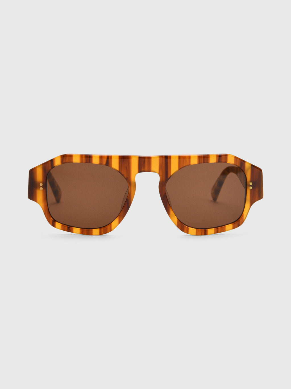 Sardine Louie Sunglasses - Saint Bernard
