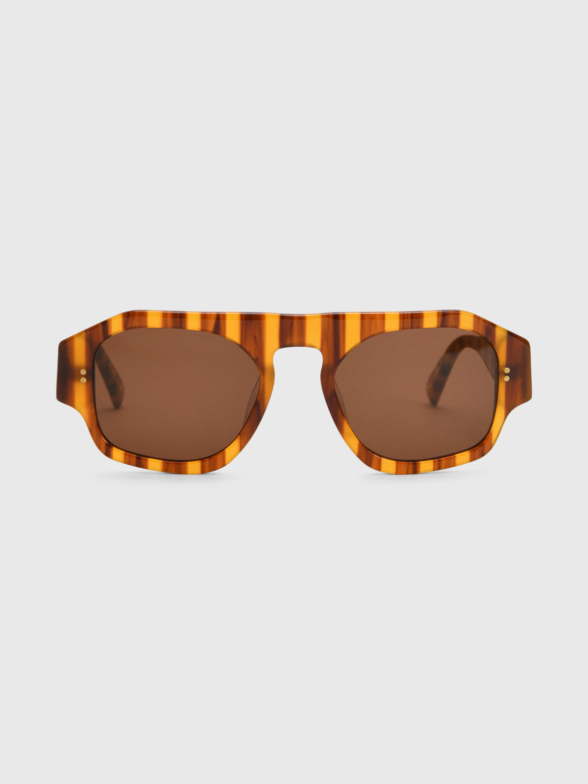 Sardine Louie Sunglasses - Saint Bernard