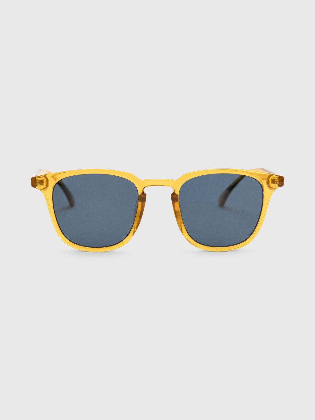 SUNSKI Tango Sunglasses - Saint Bernard