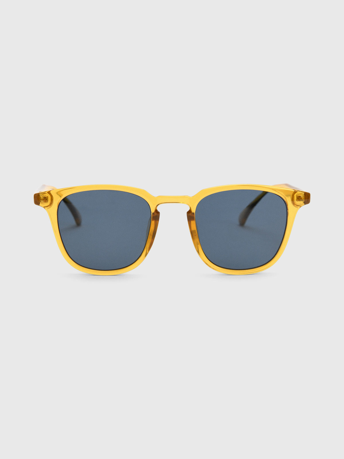 SUNSKI Tango Sunglasses - Saint Bernard