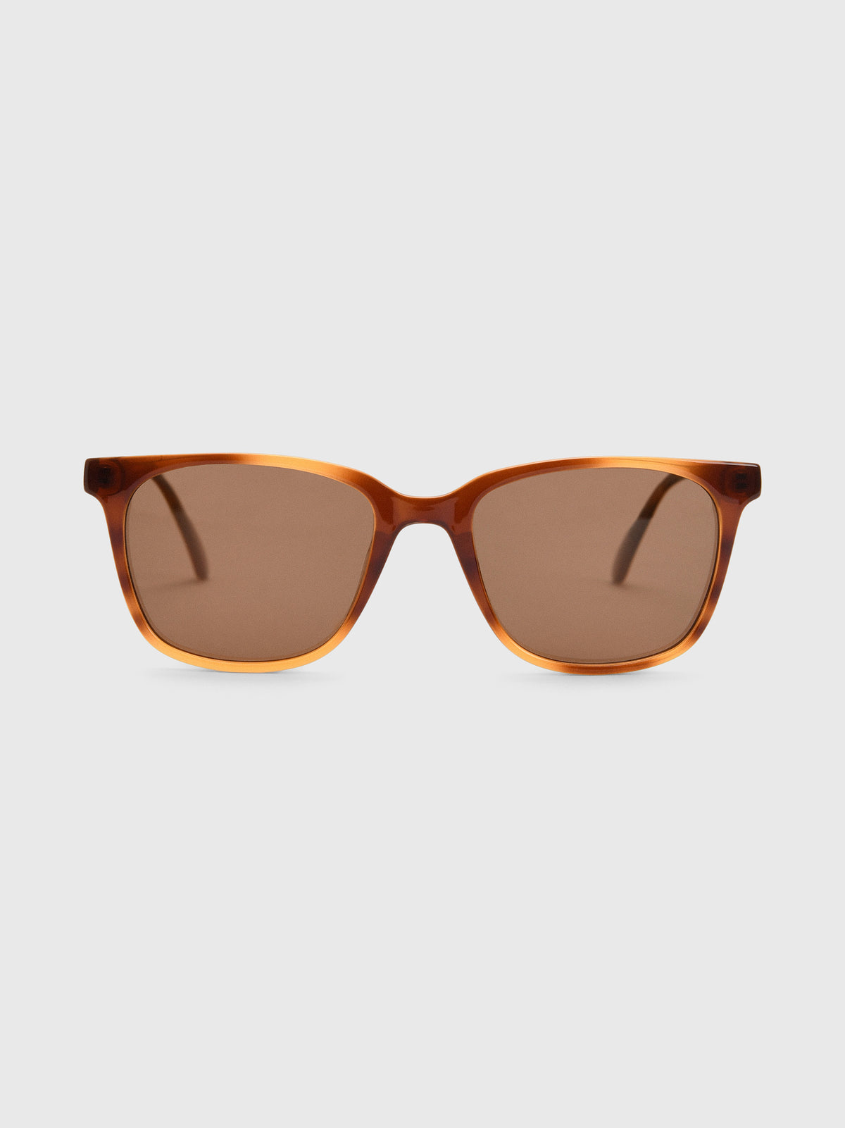 SUNSKI Ventana Sunglasses - Saint Bernard