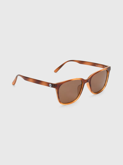 SUNSKI Ventana Sunglasses - Saint Bernard