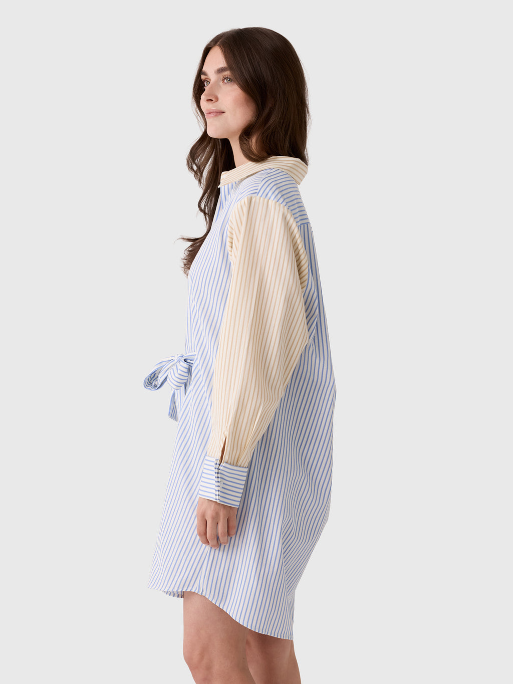 Masons Daughter Women's Sutton Short Shirt Dress - Saint Bernard