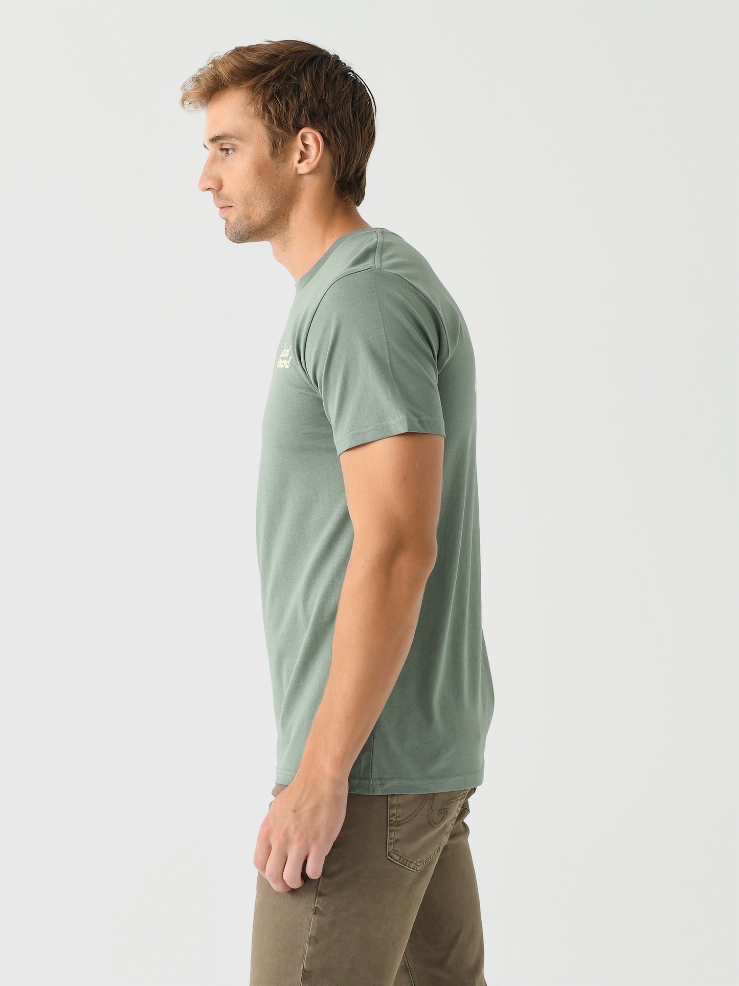 SVSS240401-SBxSAGE-alt2