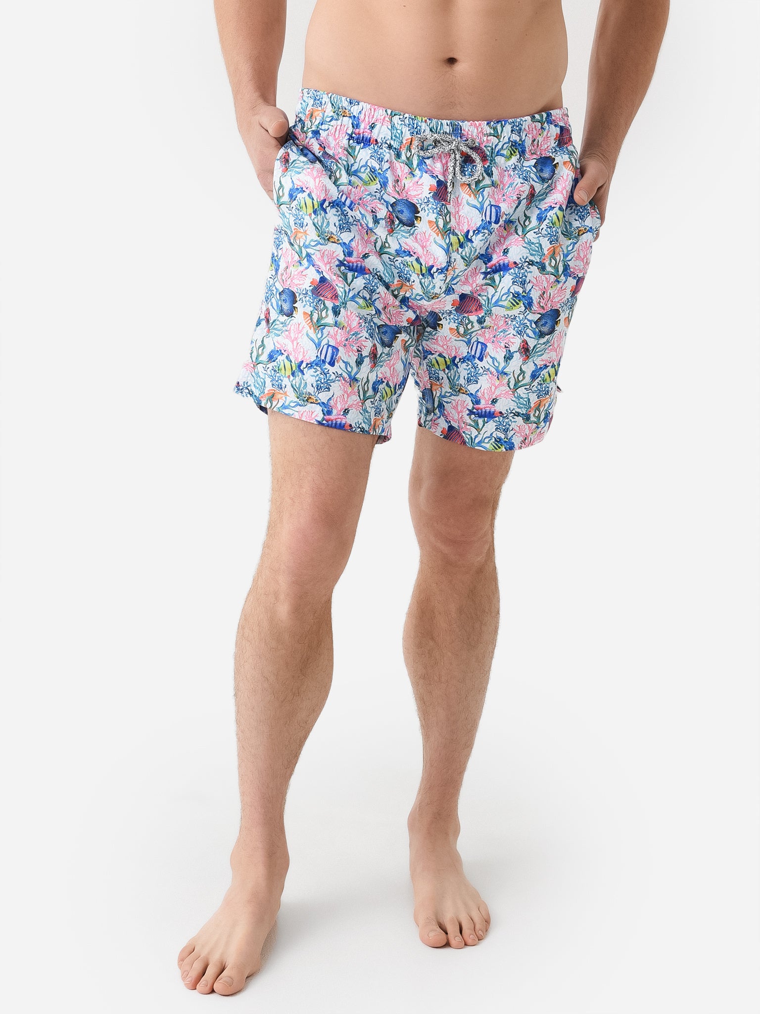 Michaels Swimwear Men's School of Fish Swim Trunk - Saint Bernard
