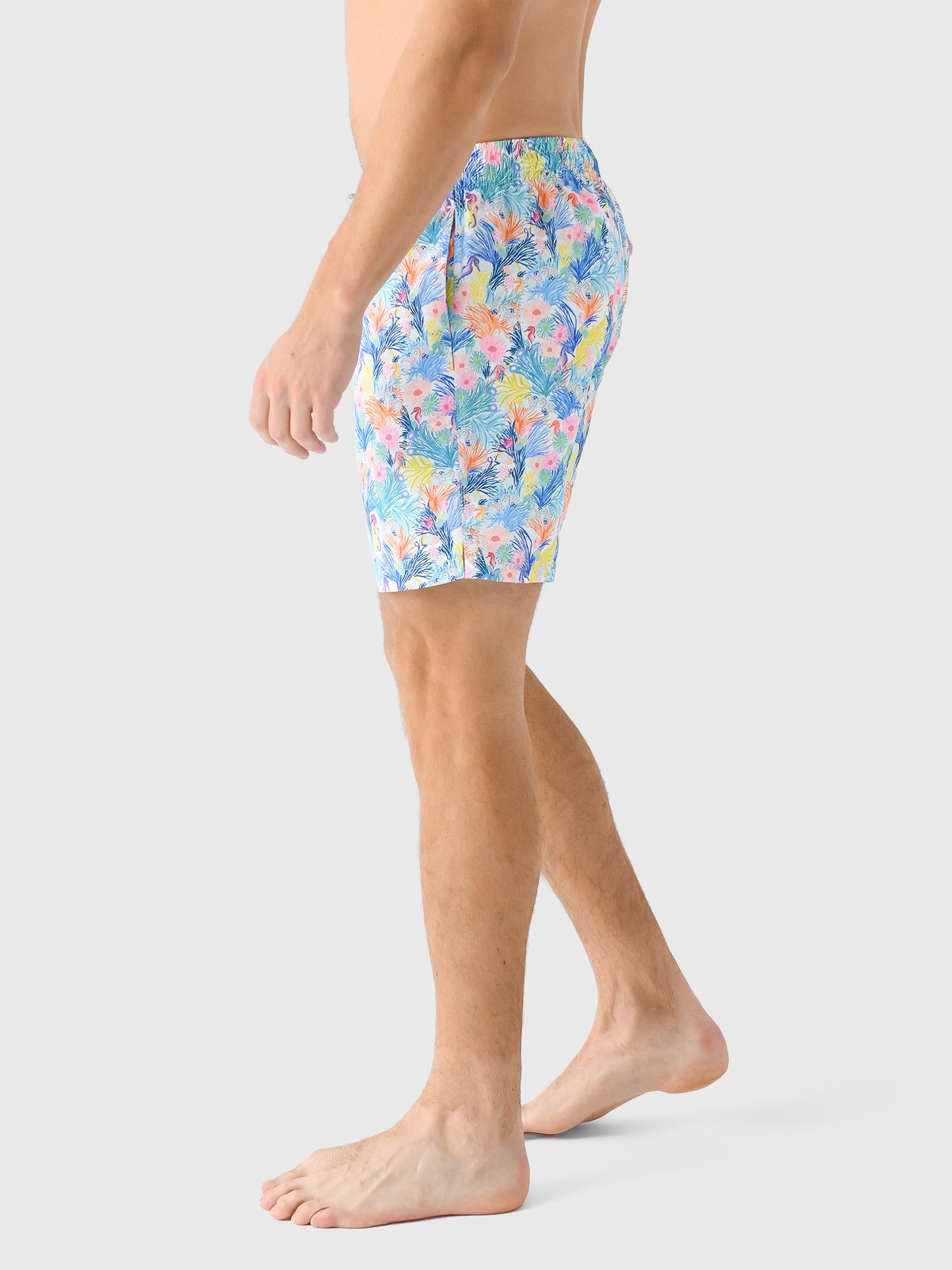 SWVS2505CxWHITESEAHORSES-alt2