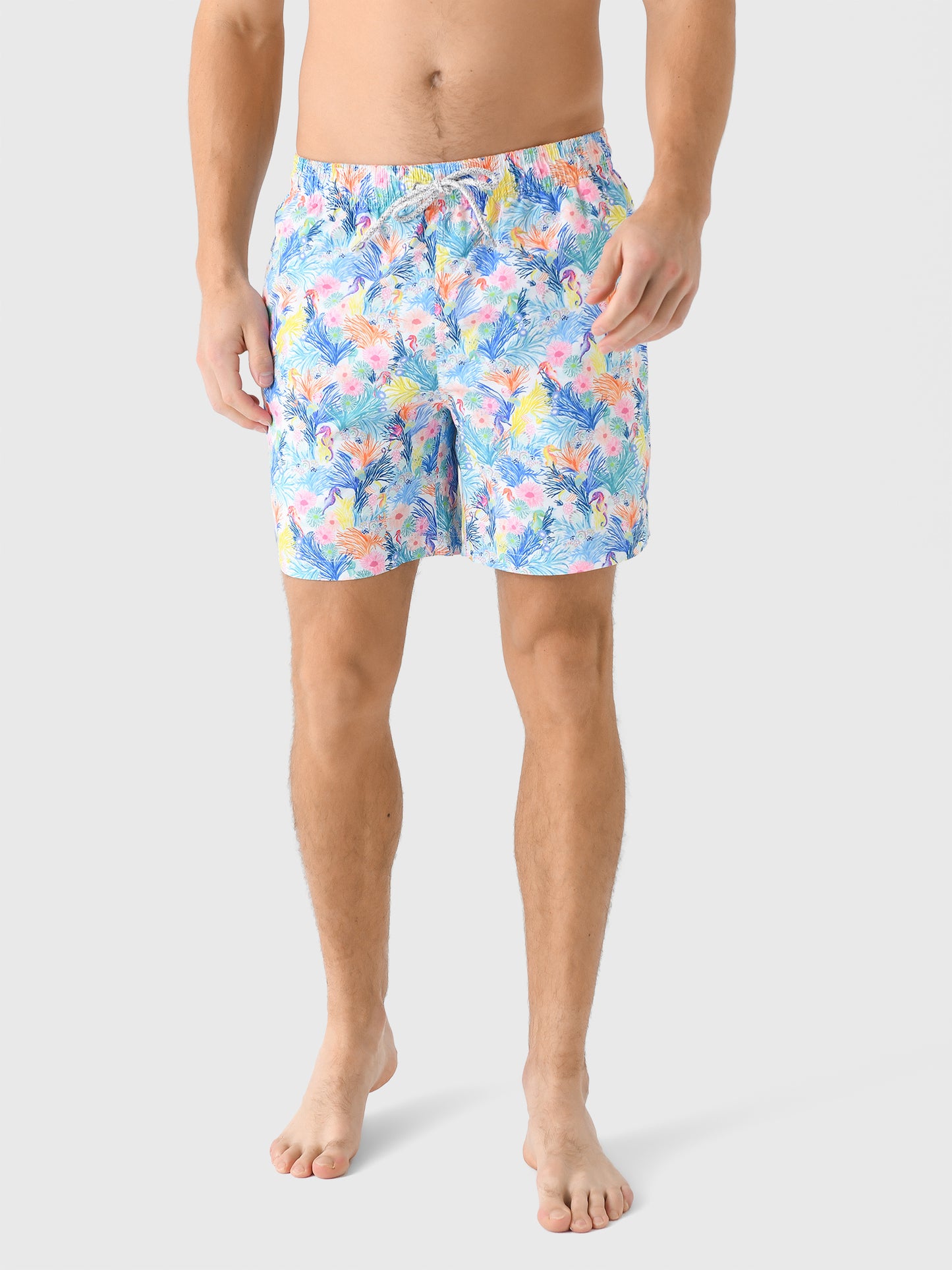 Michaels Swimwear Men's White New Seahorses Swim Trunk - Saint Bernard