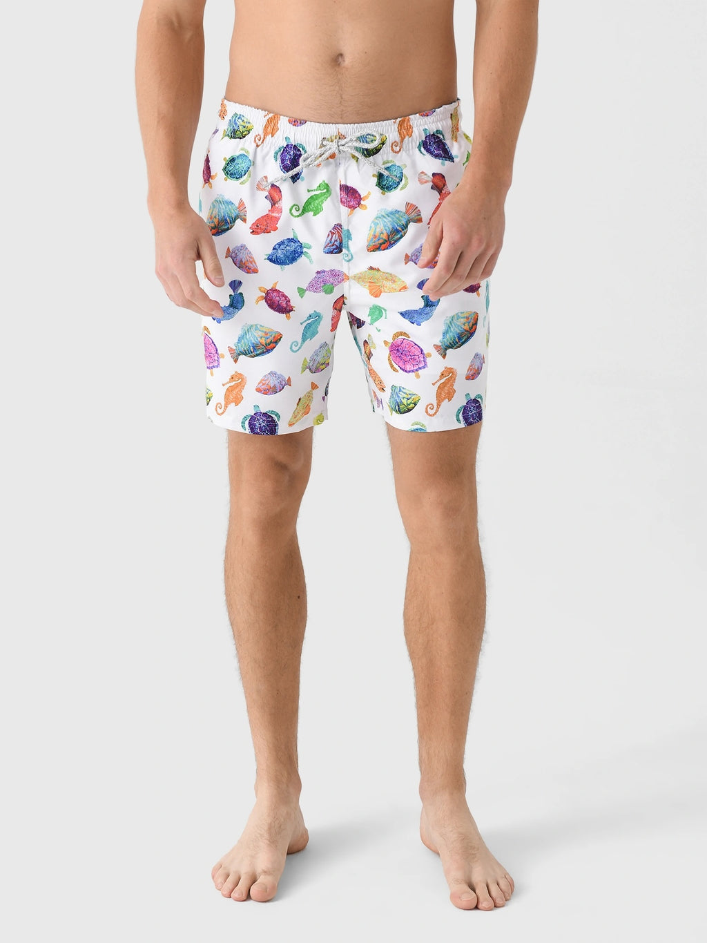 Michaels Swimwear Men's Fish Charts Swim Trunk - Saint Bernard