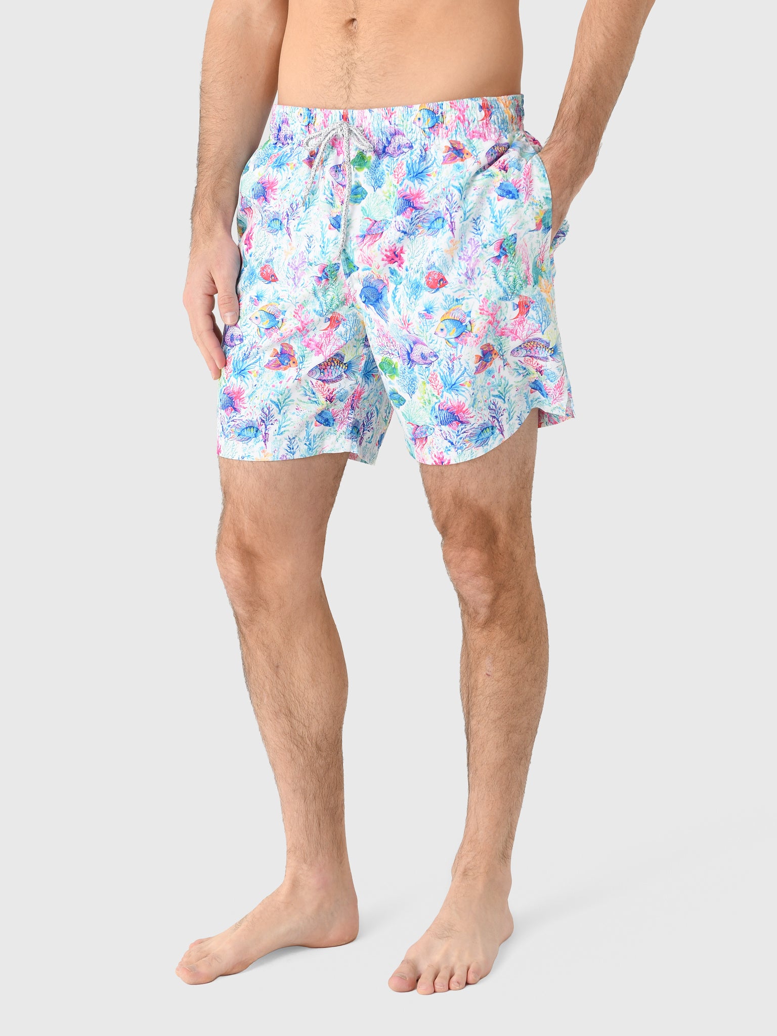 Michaels Swimwear Men's Fish Jungle Swim Trunk - Saint Bernard