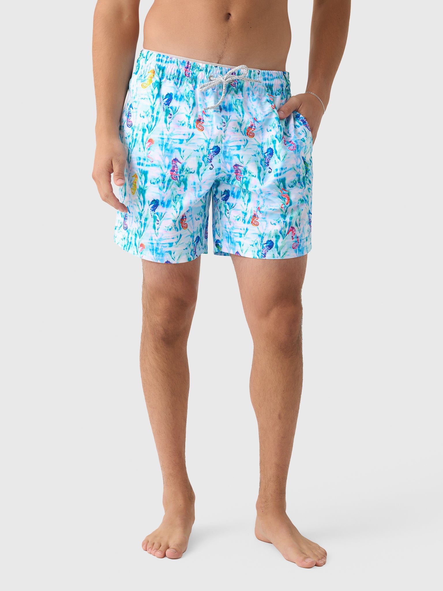 Michaels Swimwear Men's Seahorses In The Grass Swim Trunk - Saint Bernard