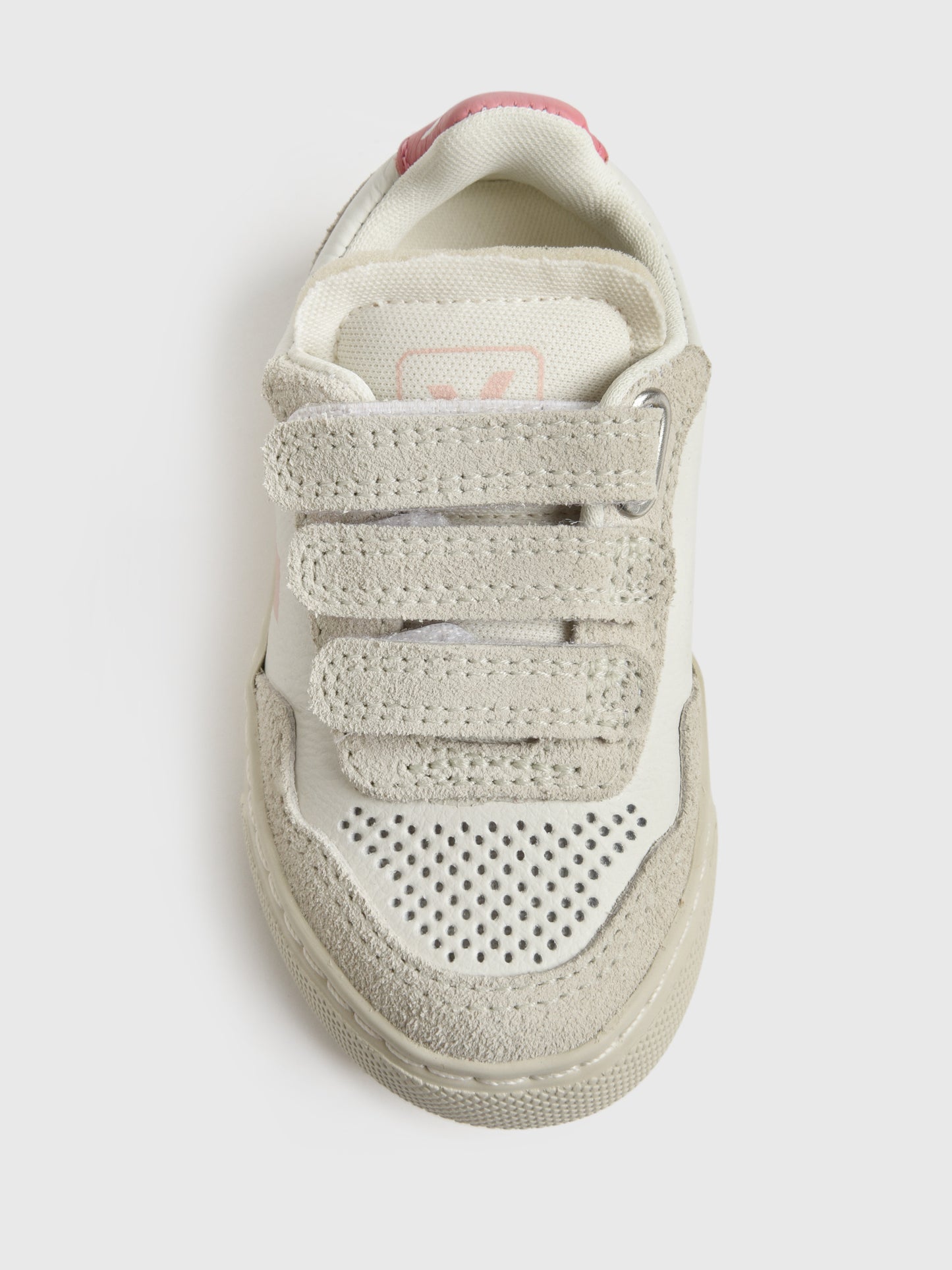 SX2020636xEXTRAWHITEPETALE-alt1