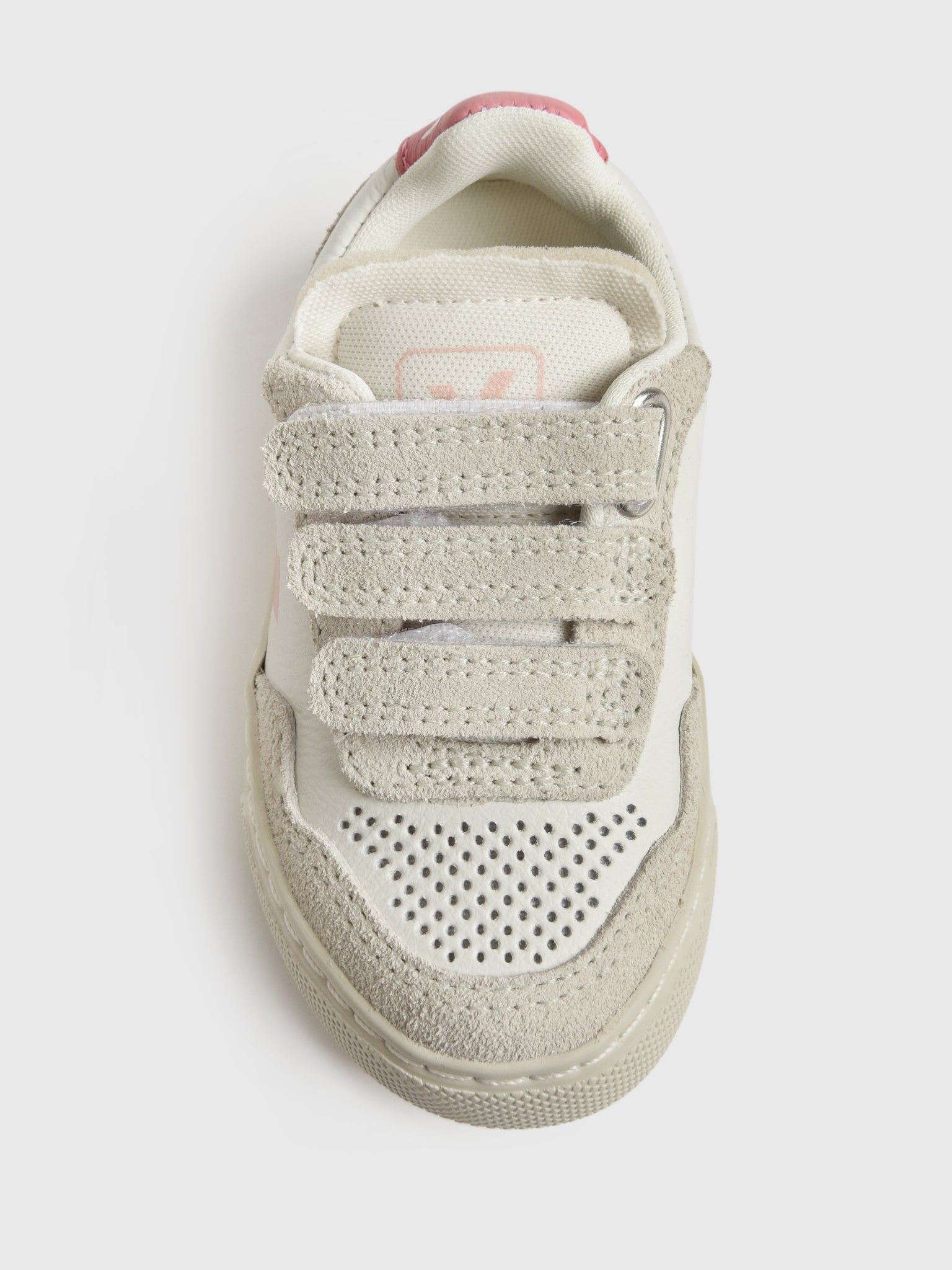 SX2020636xEXTRAWHITEPETALE-alt1