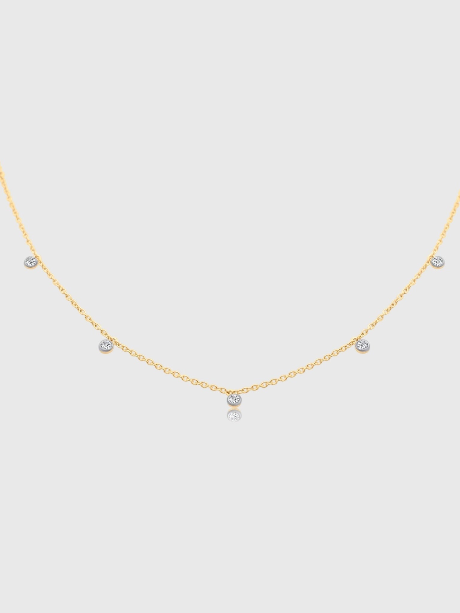 S. Bell Seven Diamond Confetti Necklace - Saint Bernard