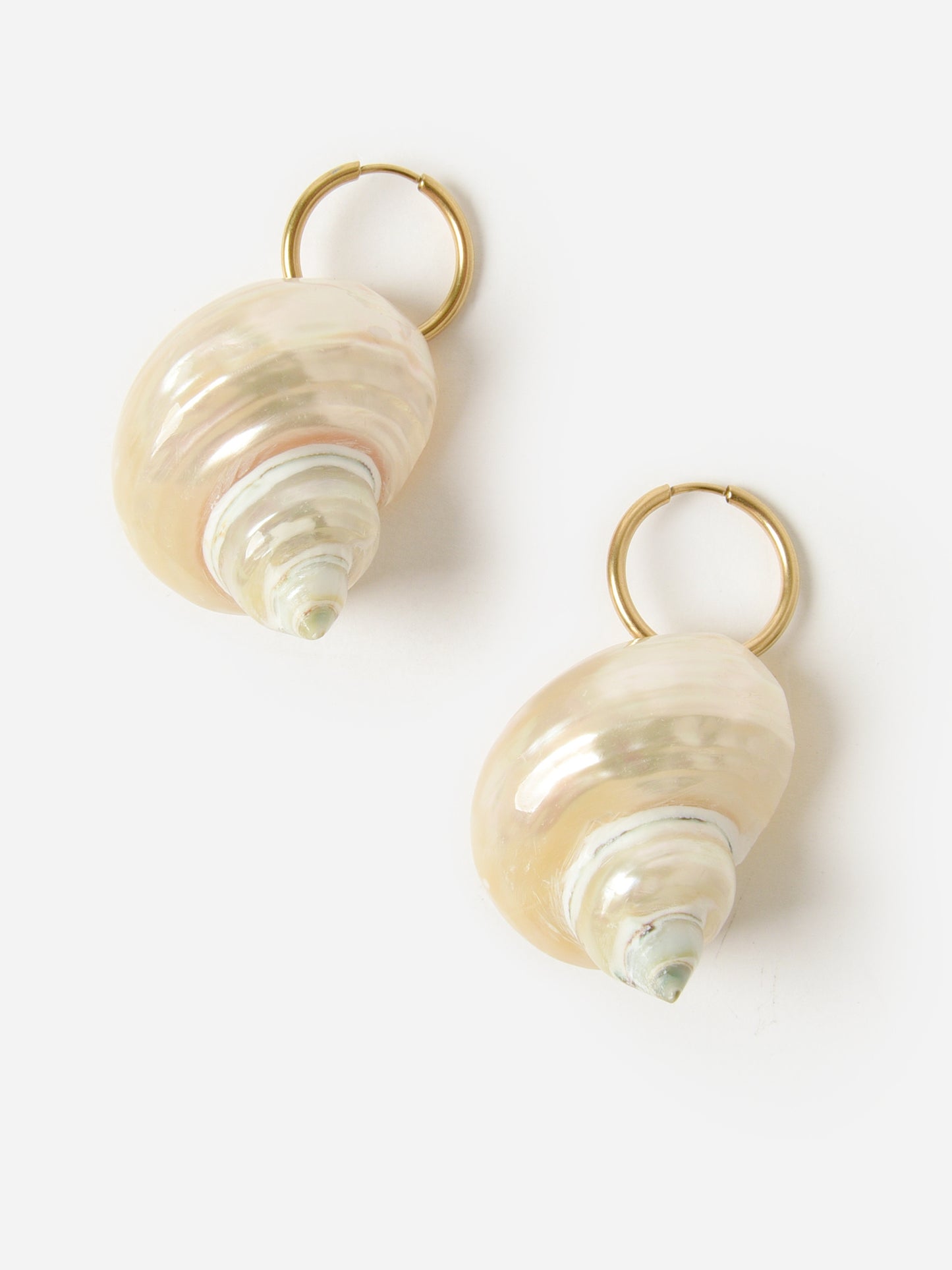 Casa Clara Shell Earrings - Saint Bernard