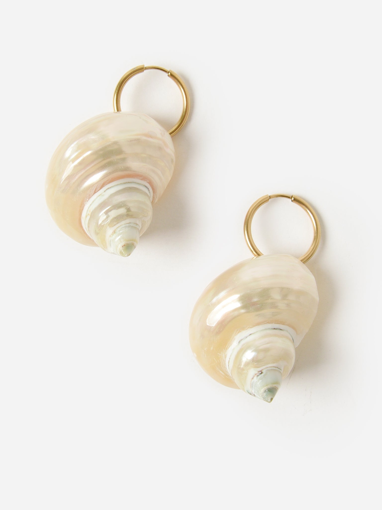 Casa Clara Shell Earrings - Saint Bernard