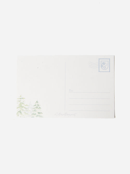 CMT Art Saint Bernard Postcard
