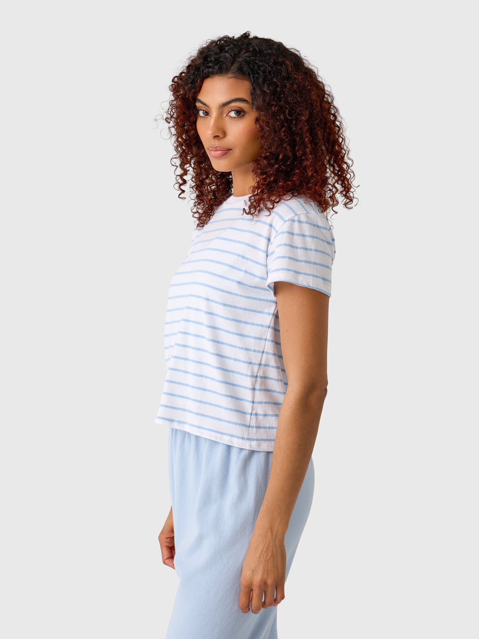 Perfect White Tee Women's Everett Stripe Tee - Saint Bernard